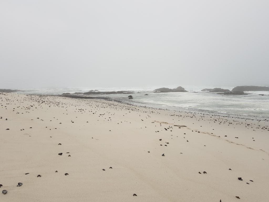 Image 22