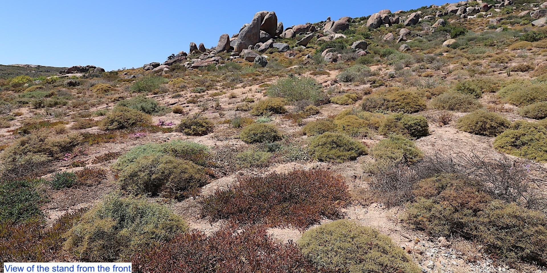 Image 3 of 6