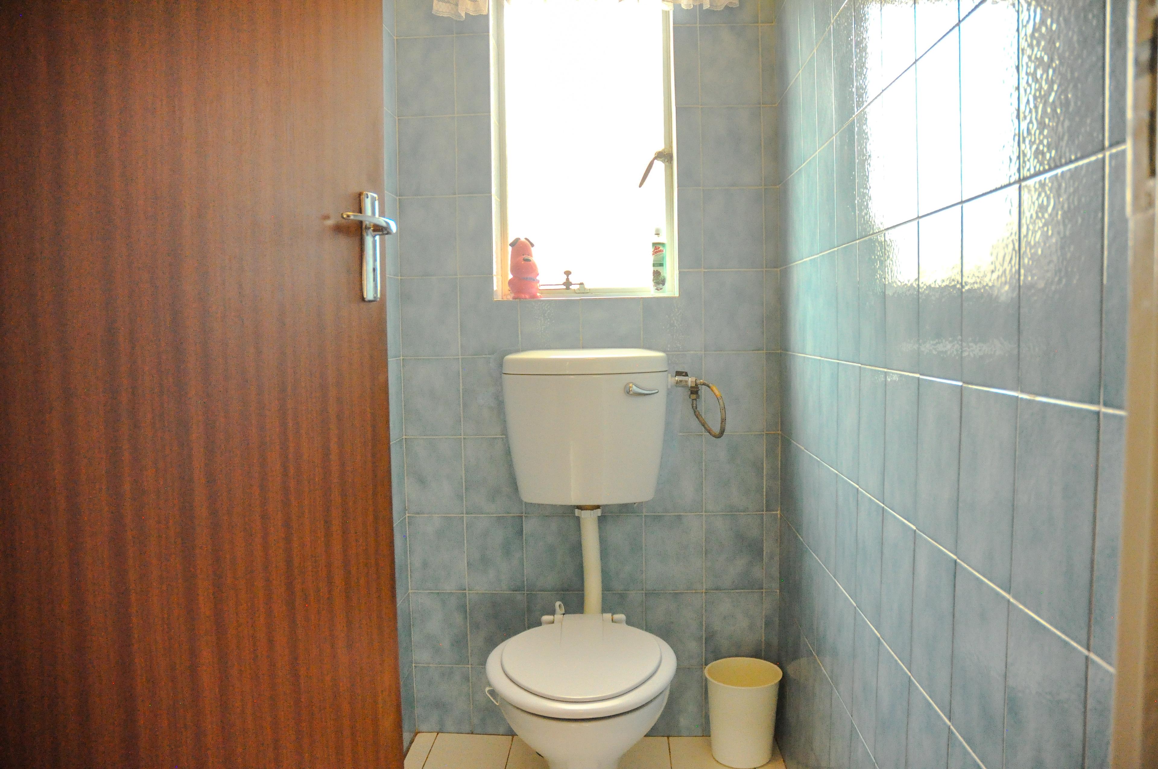 Image 15