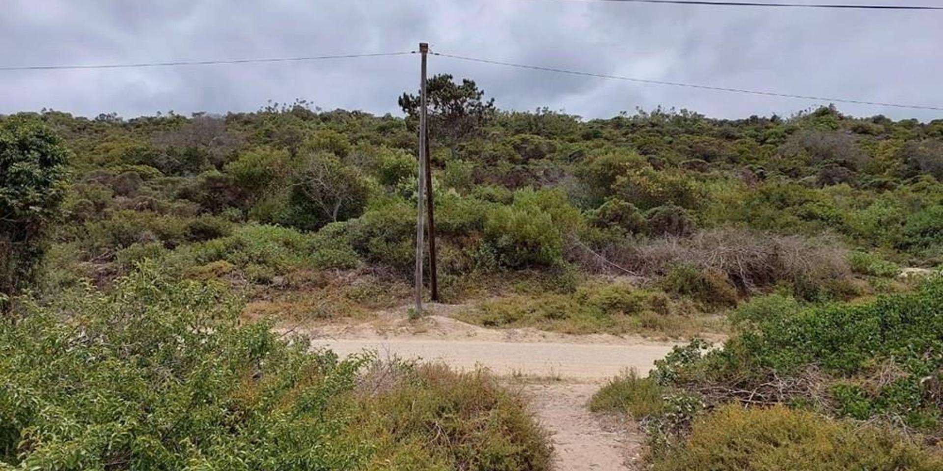 Image 4 of 6
