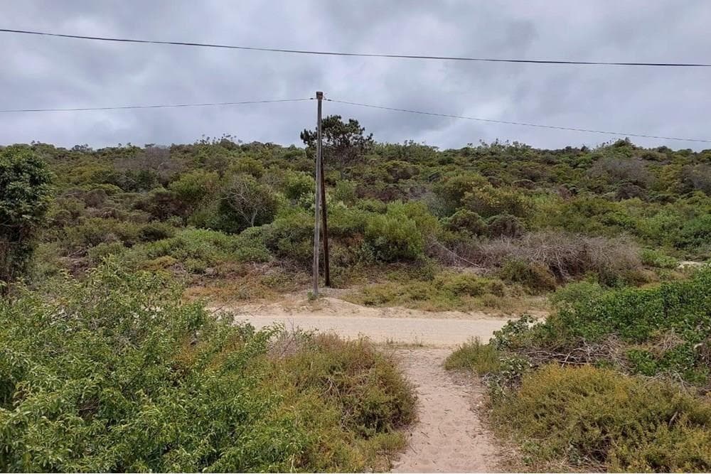 Image 4 of 6