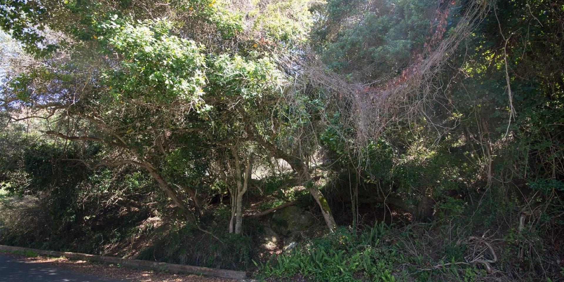 Image 3 of 6