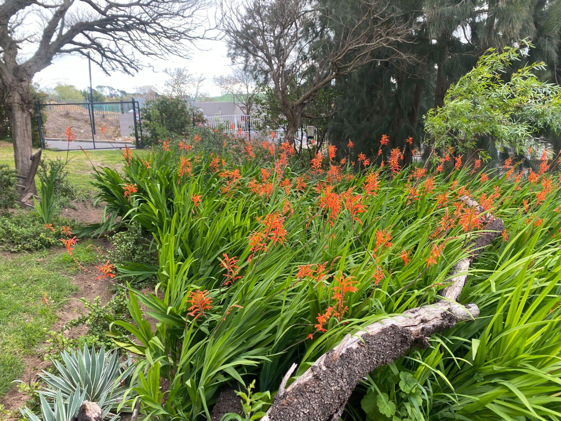 Image 4 of 6