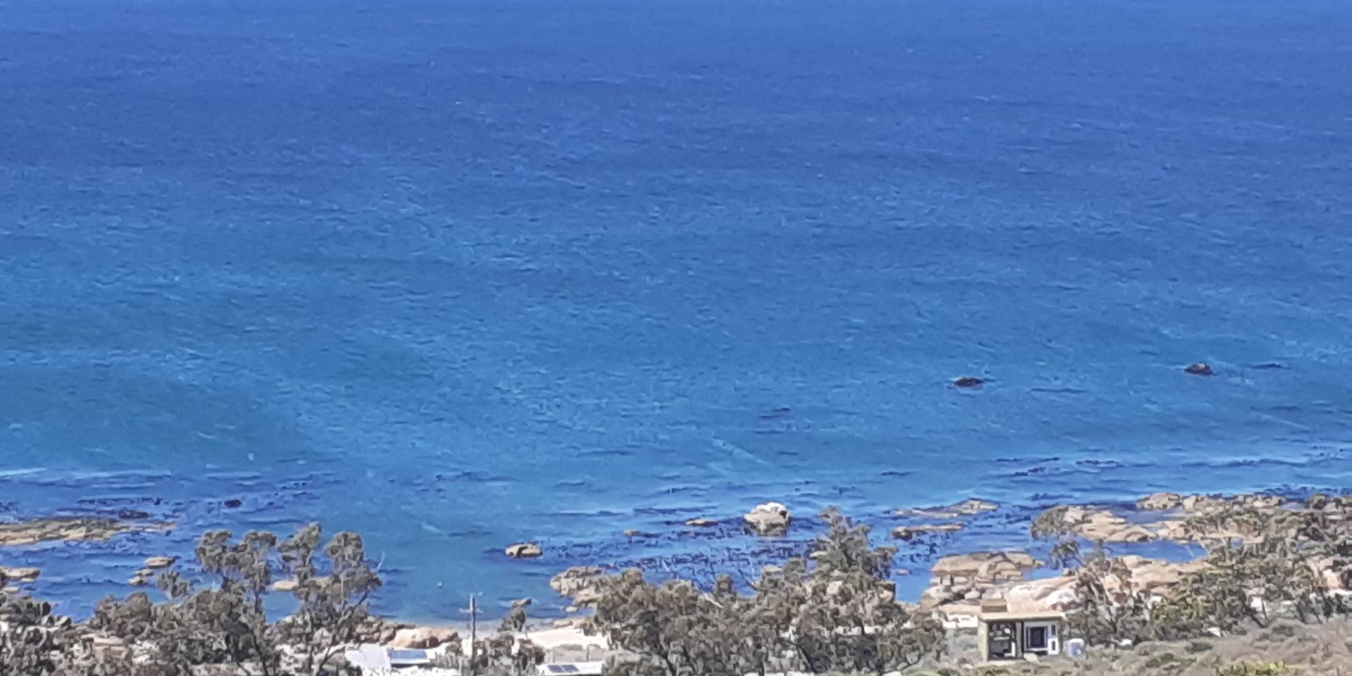 Image 4 of 6