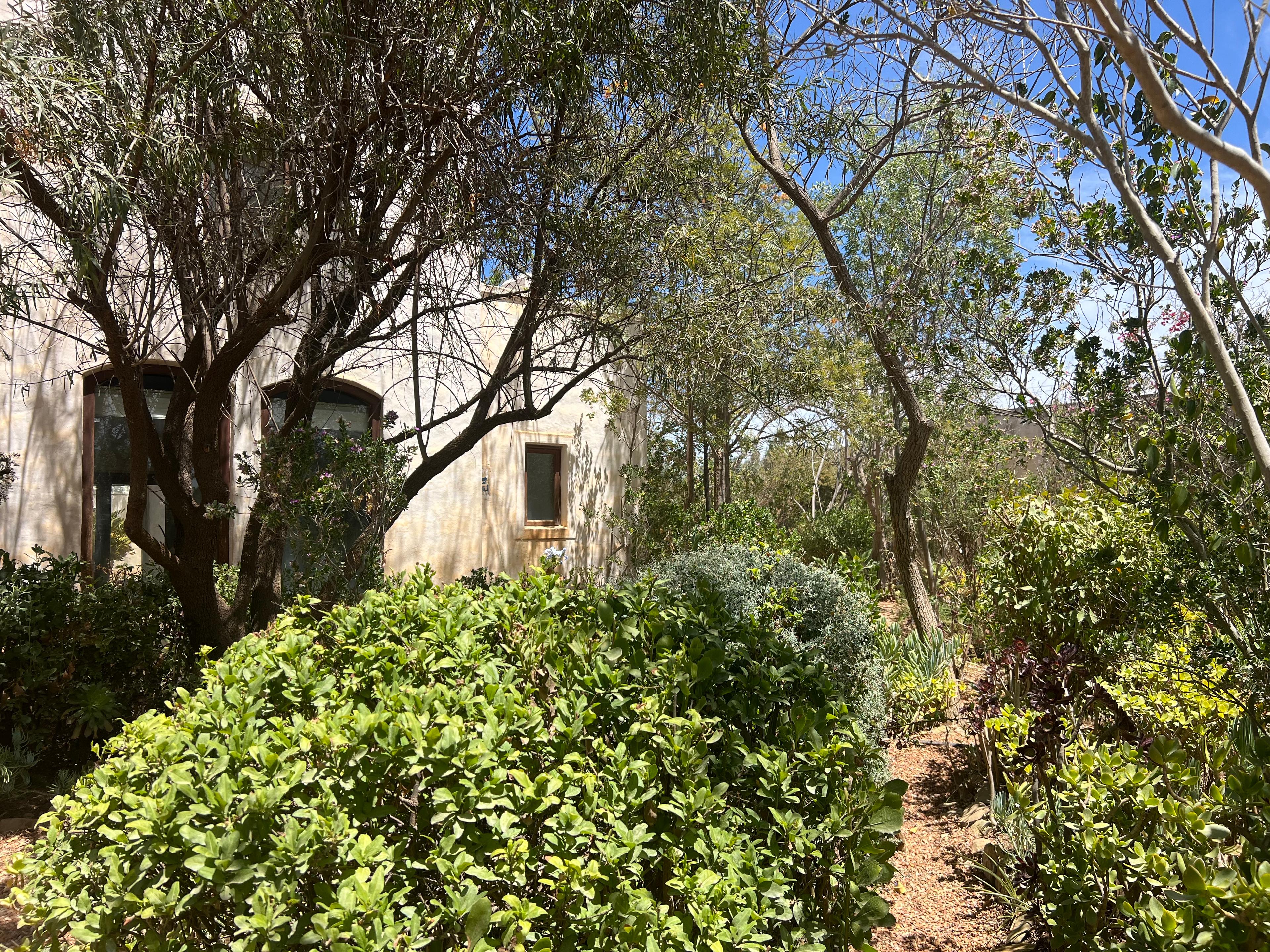 Image 37