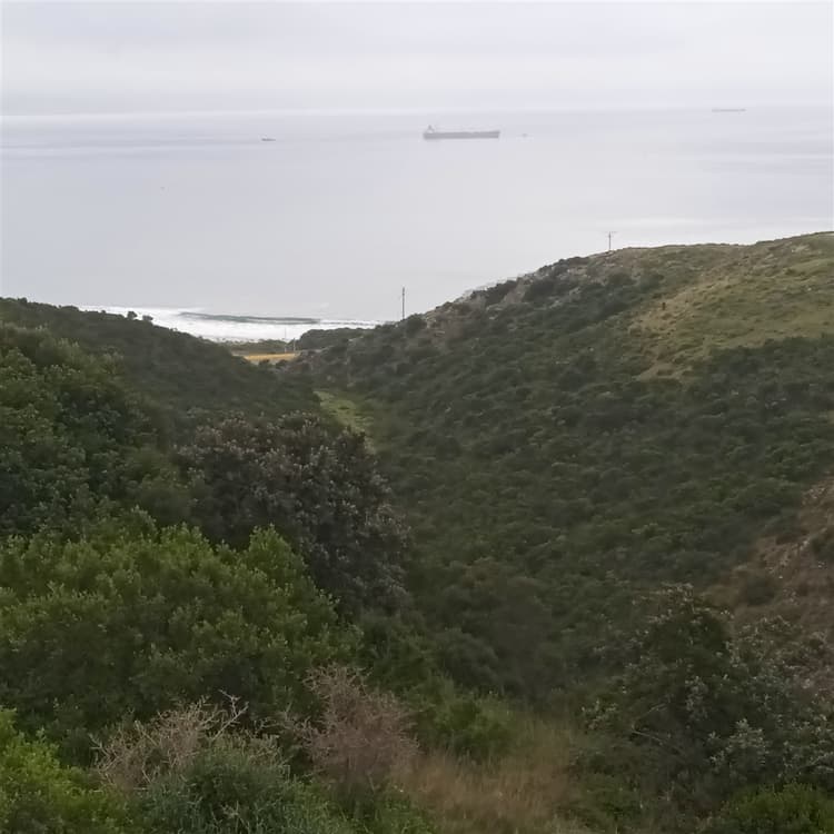 Main property image
