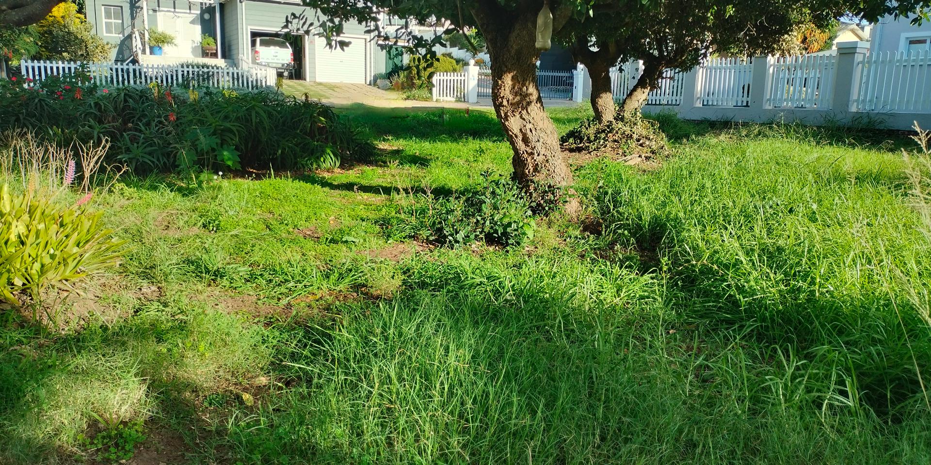 Image 5 of 6