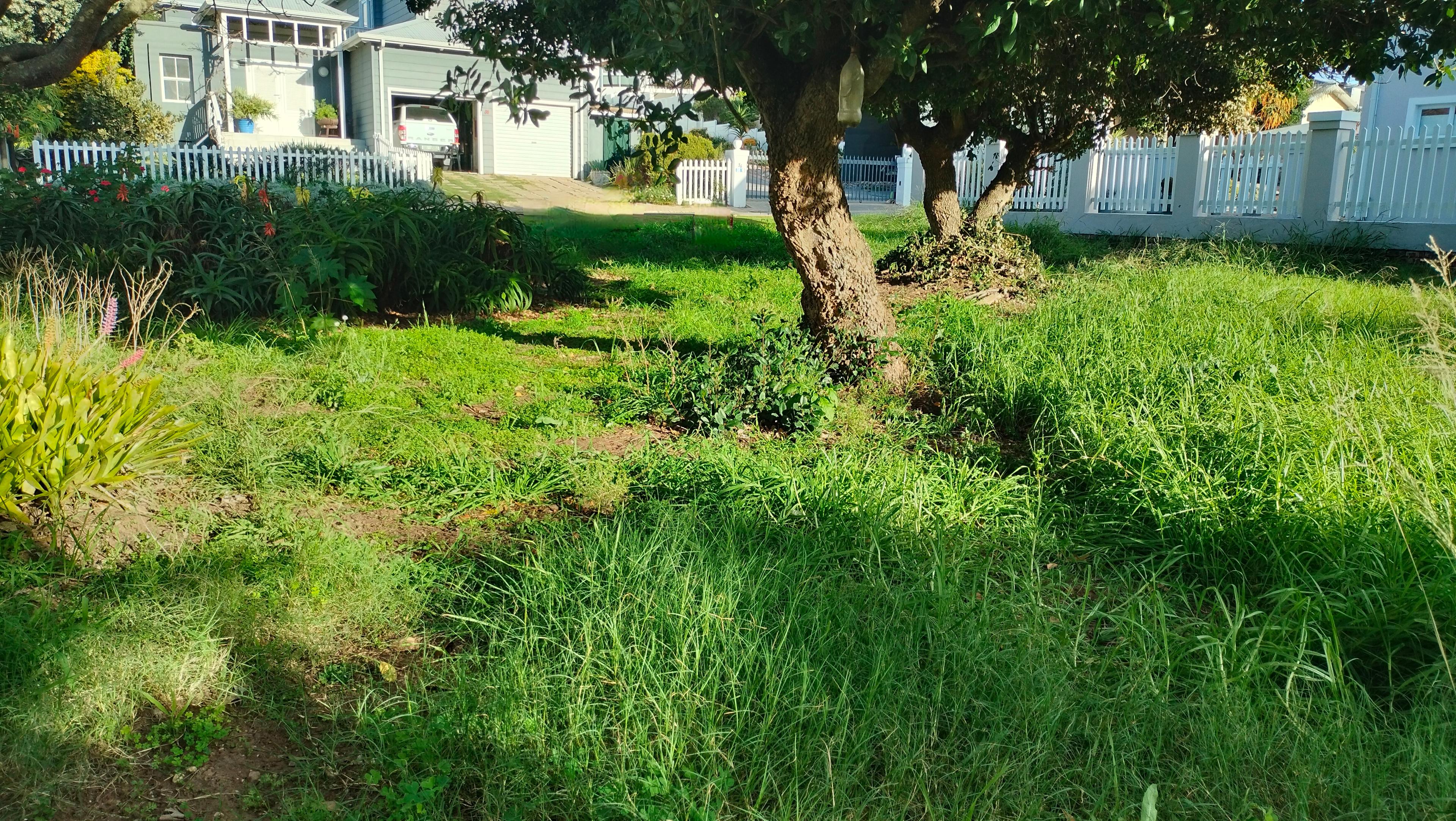 Image 5 of 6