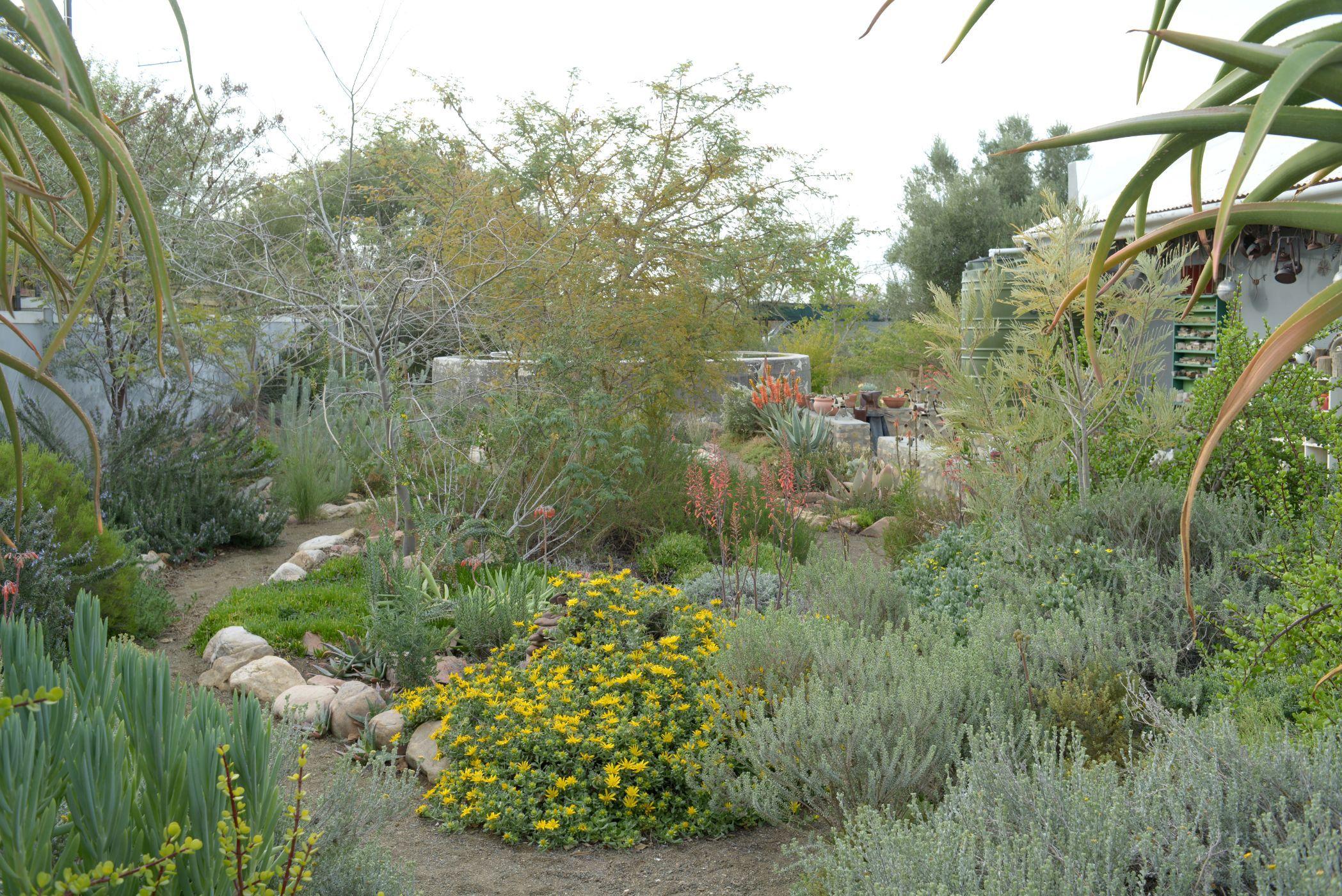 Image 38