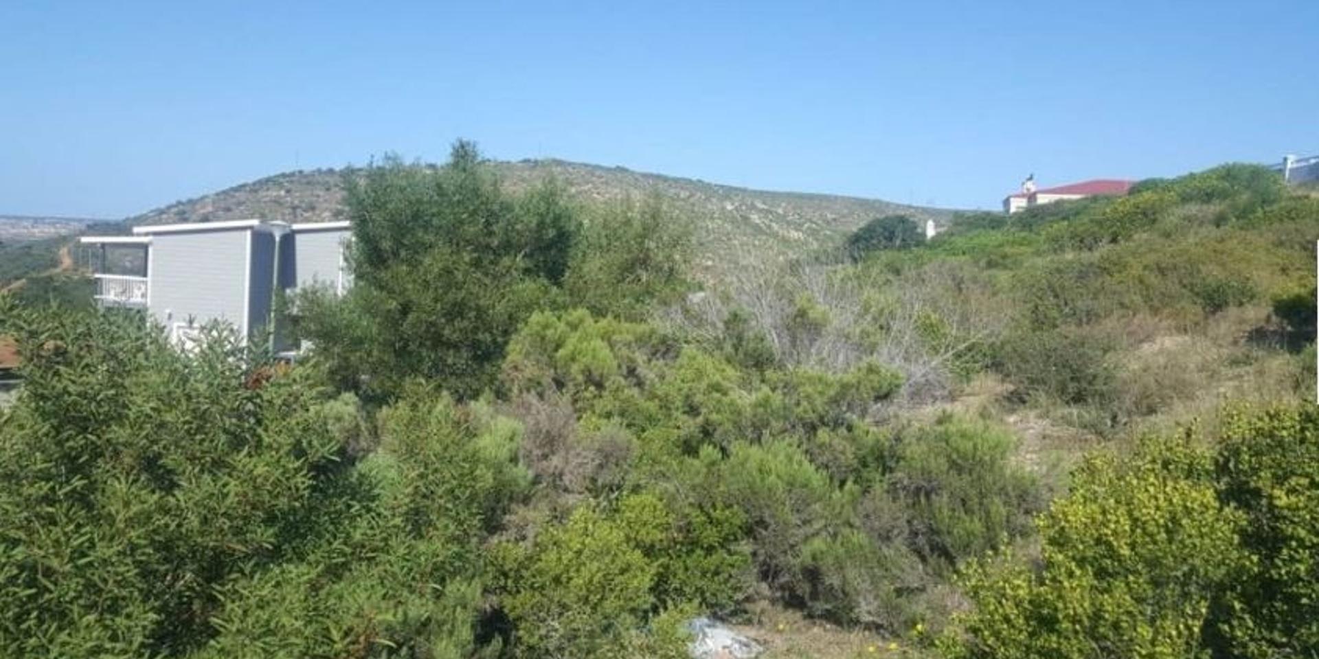 Image 3 of 6