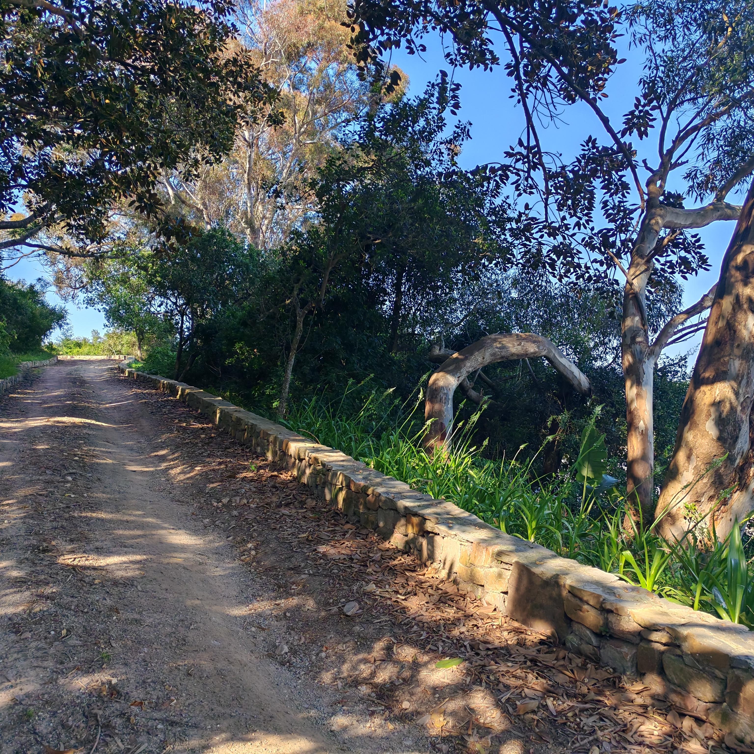 Image 6