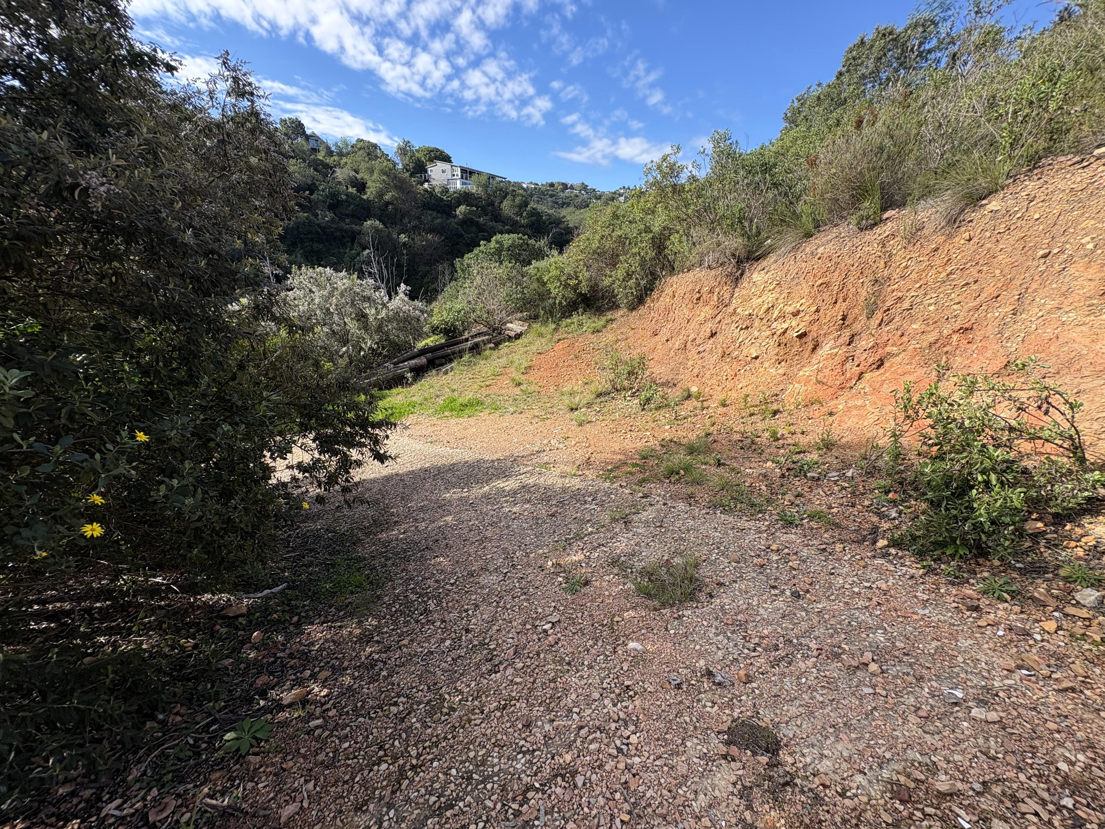 Image 5 of 6