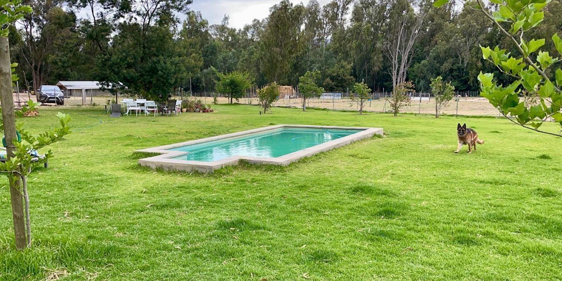 Image 4 of 6