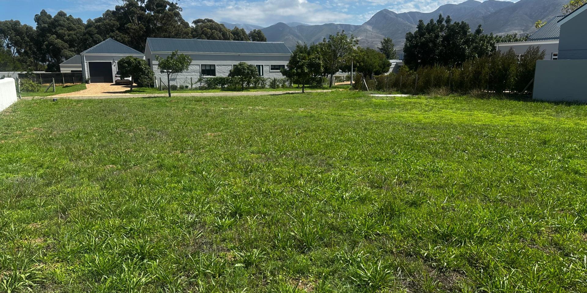 Image 5 of 6