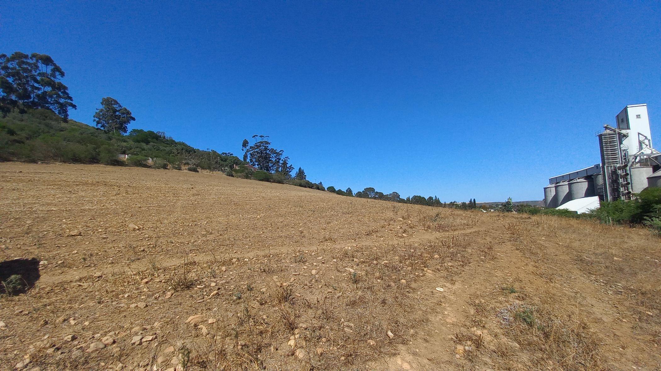 Image 12