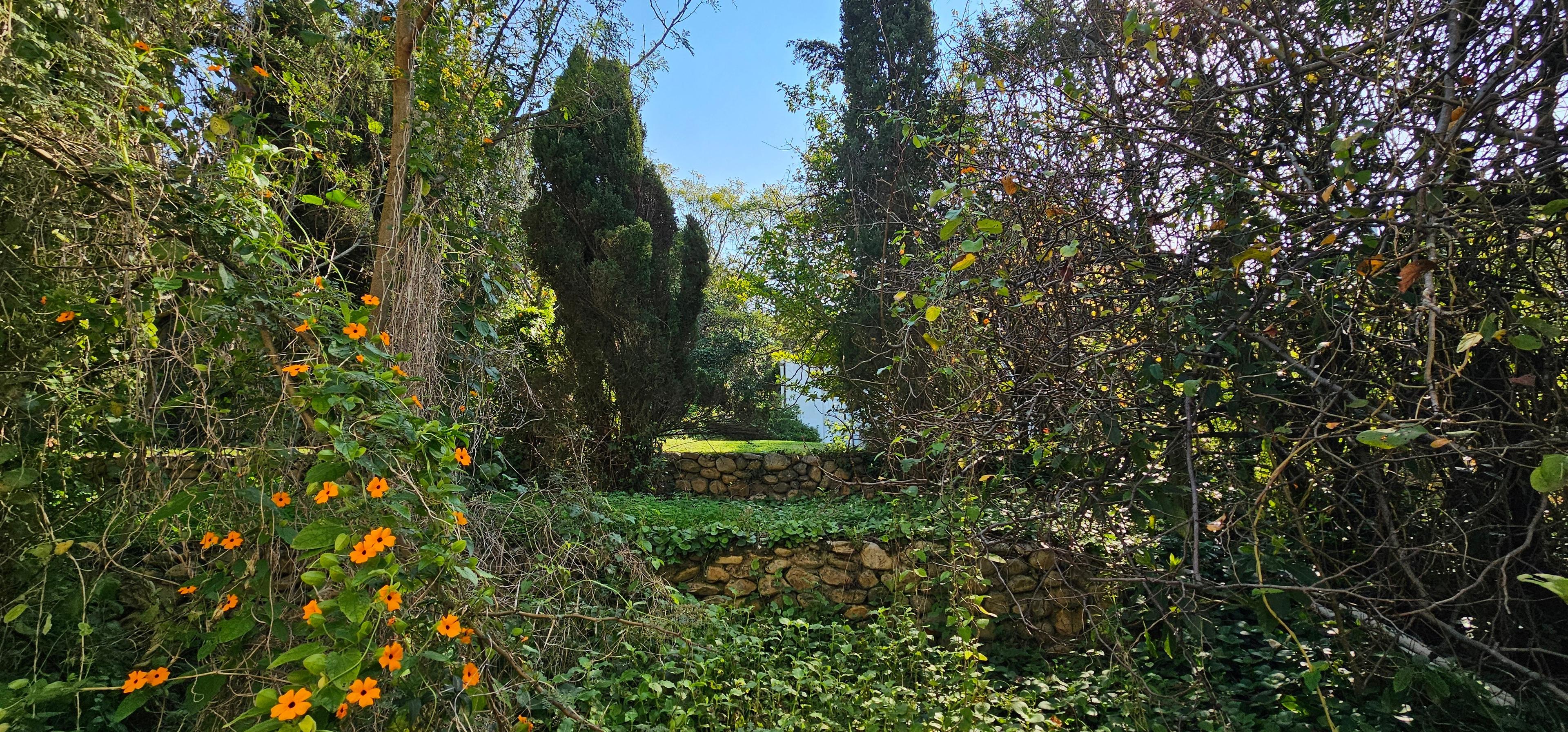 Image 34