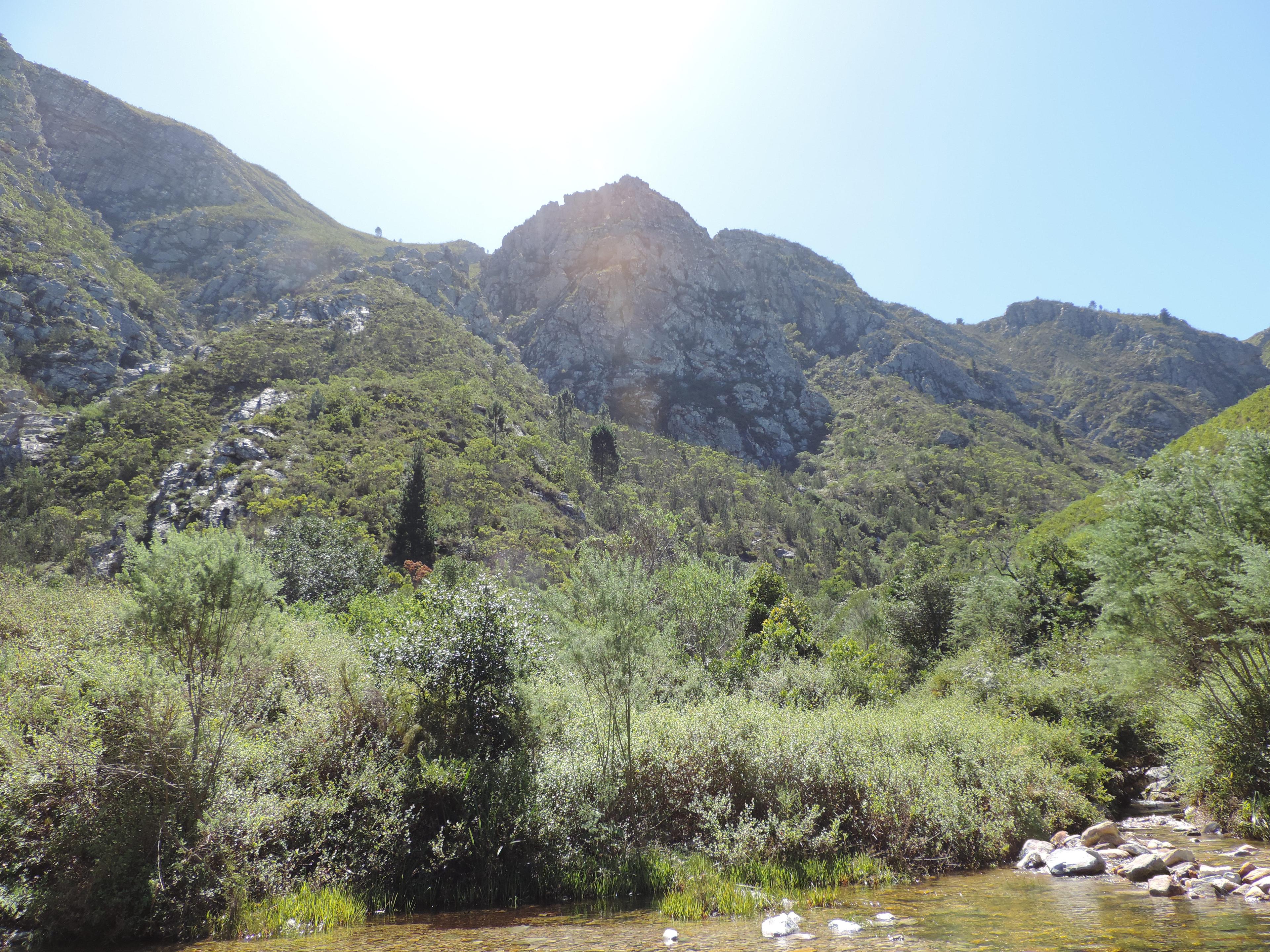 Image 2 of 6