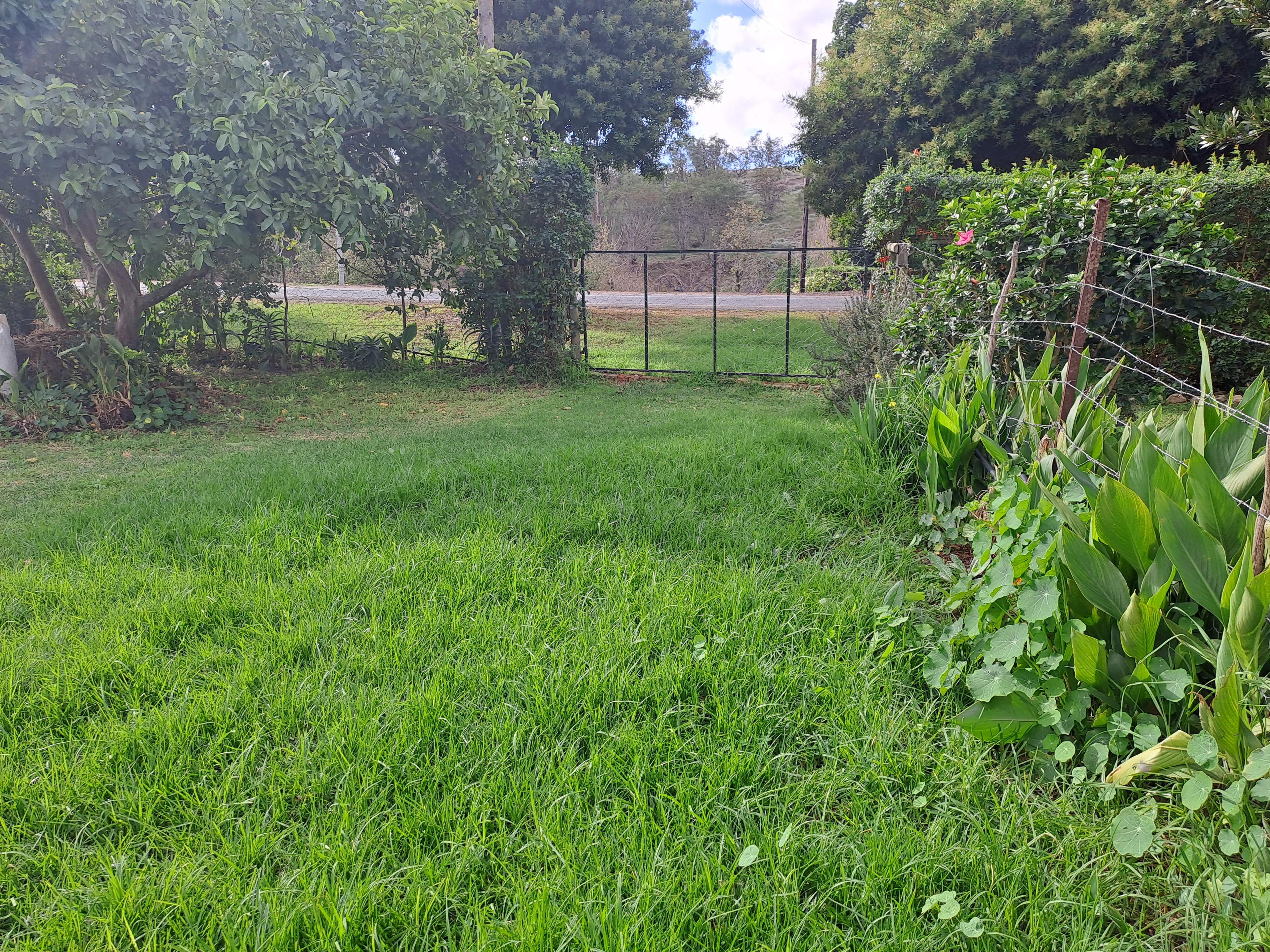 Image 5 of 6