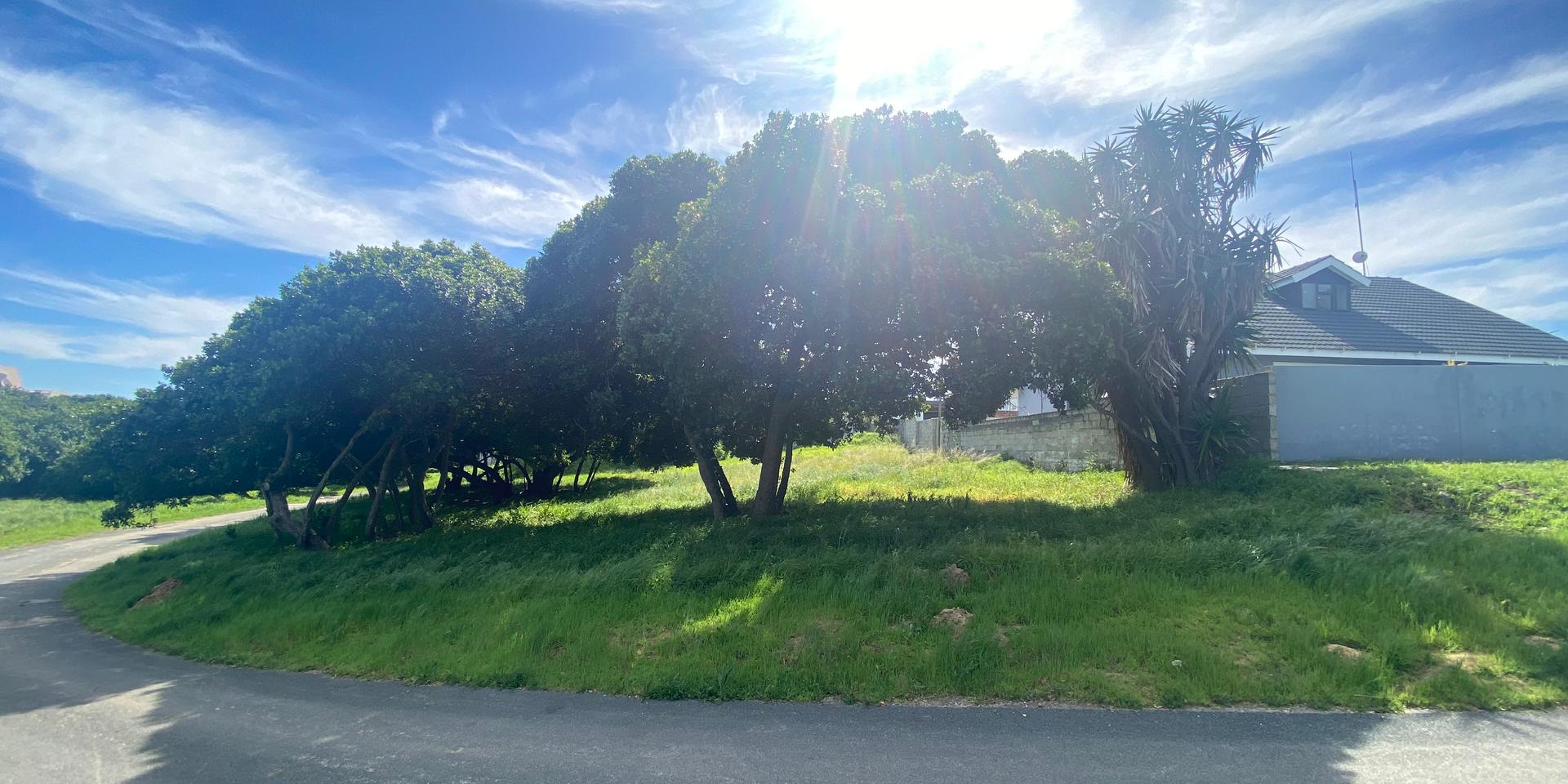Image 2 of 6