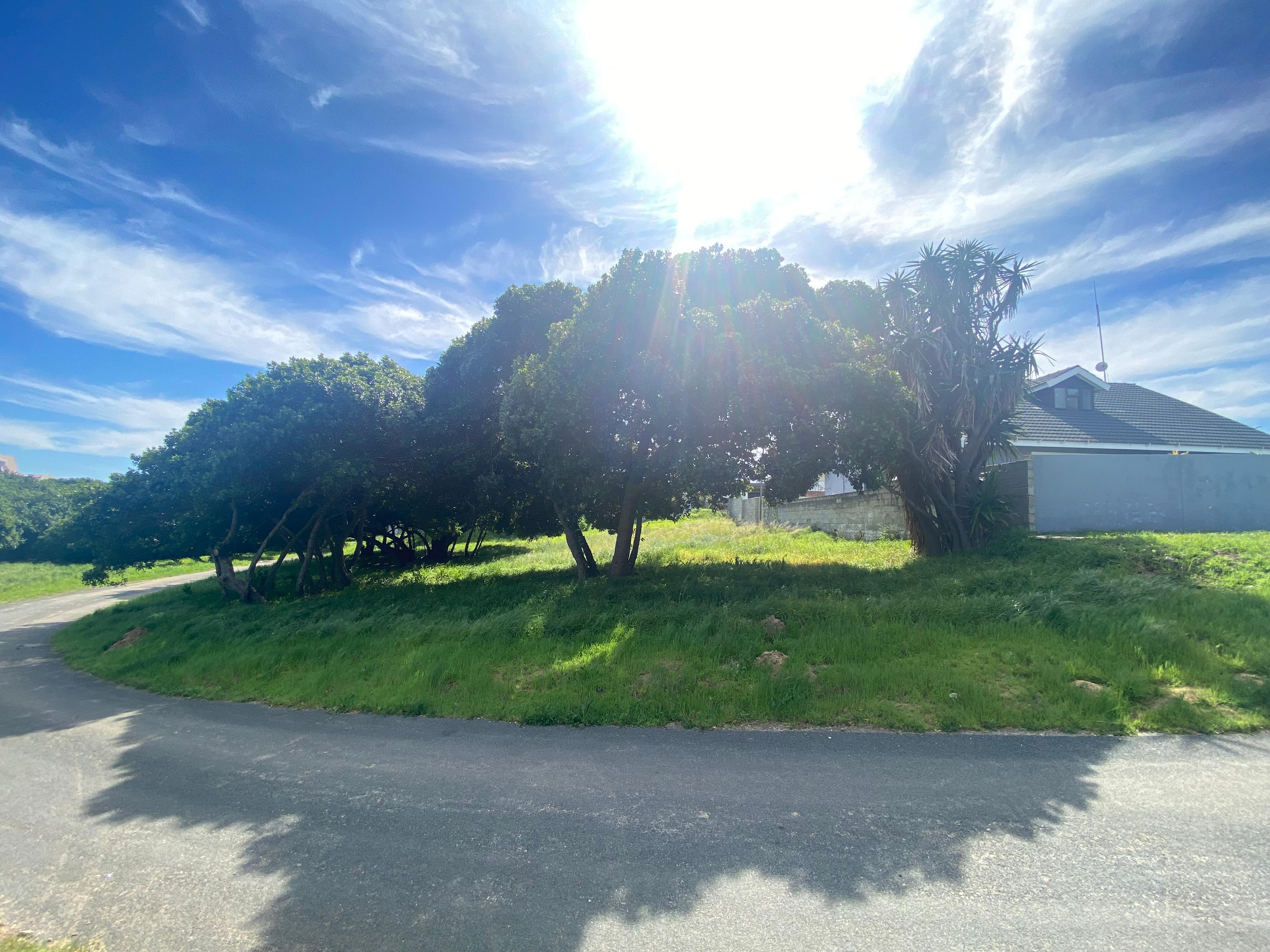 Image 2 of 6