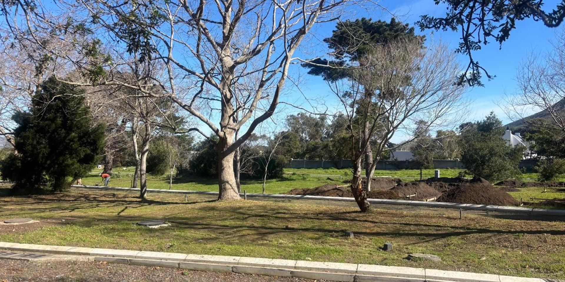 Image 2 of 6