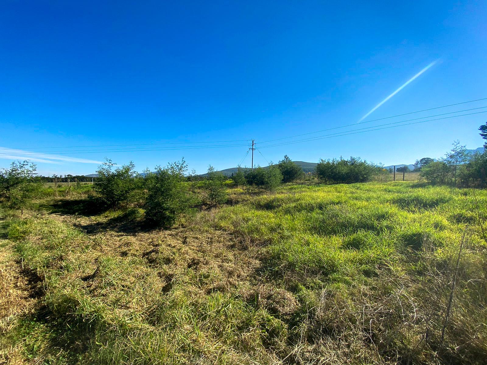 Image 4 of 6