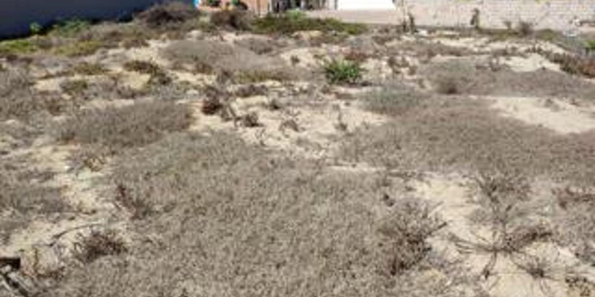 Image 4 of 6