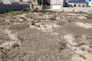 Image 4 of 6