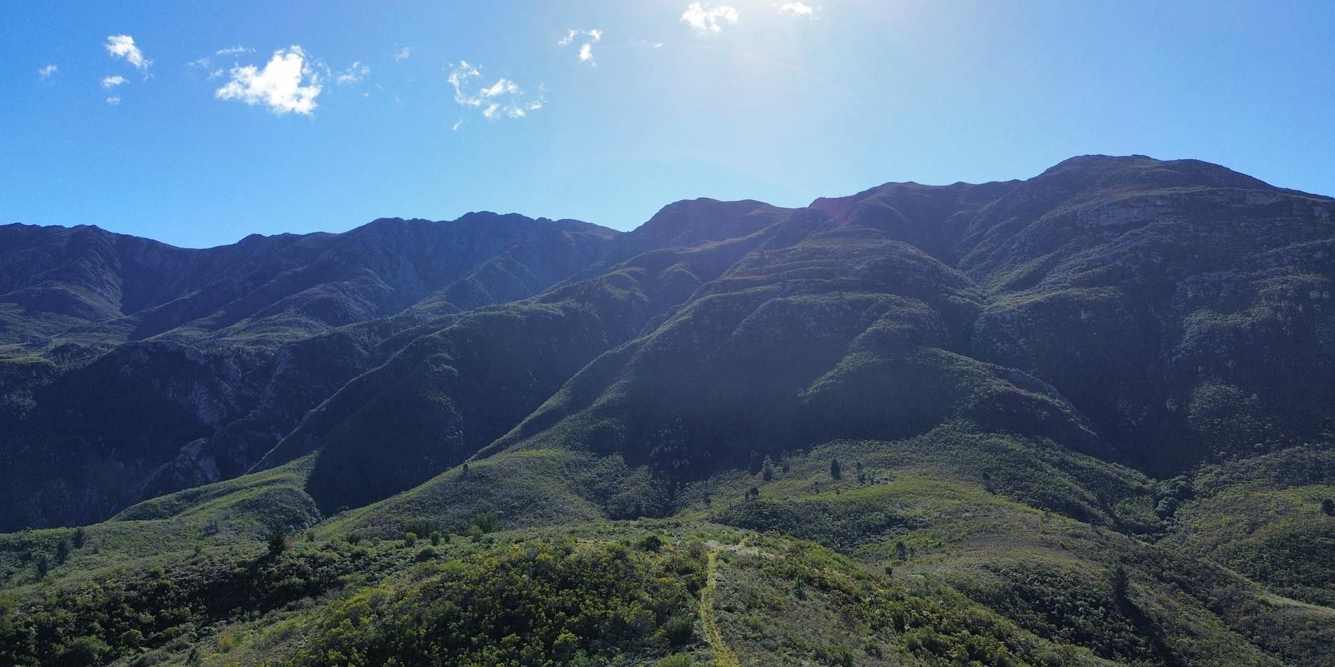 Image 5 of 6