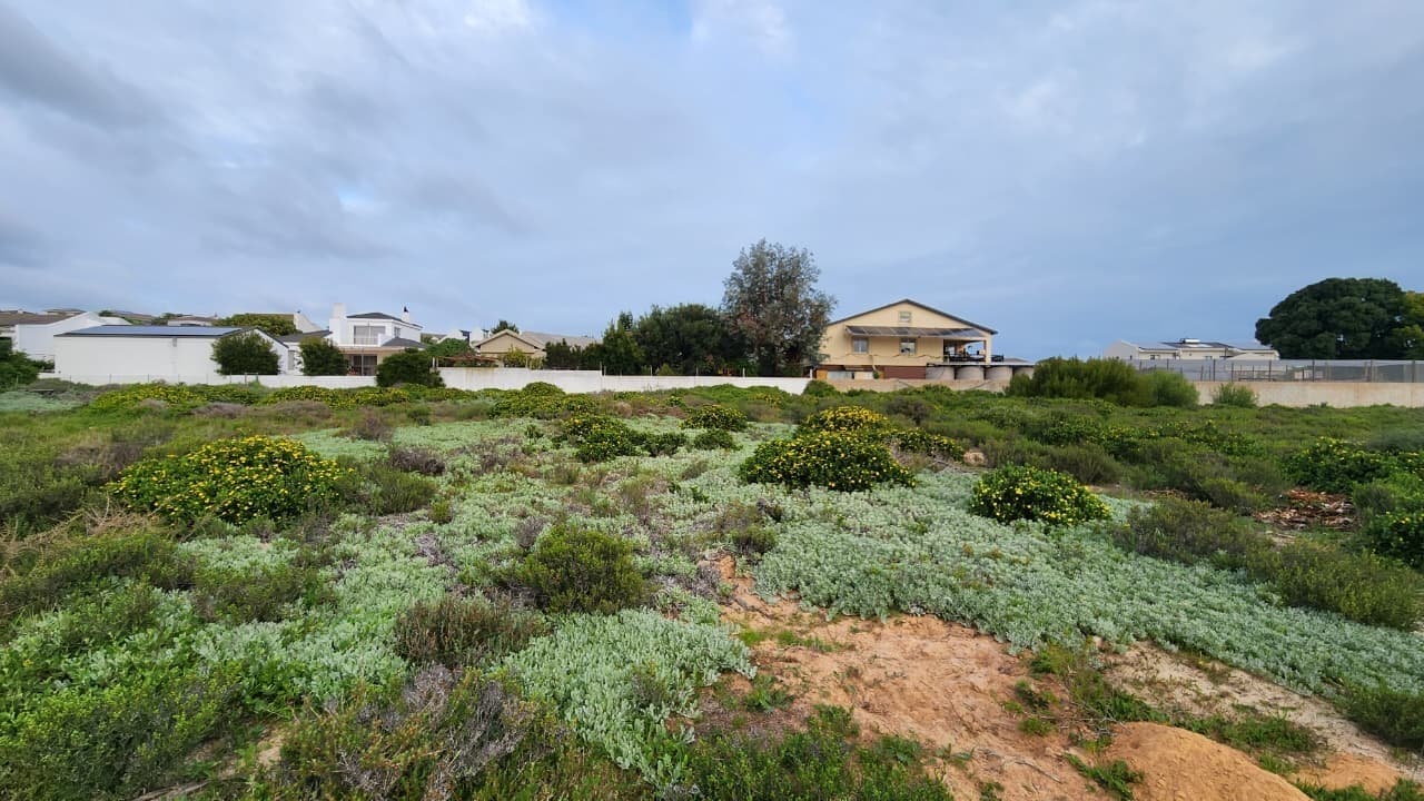 Image 10