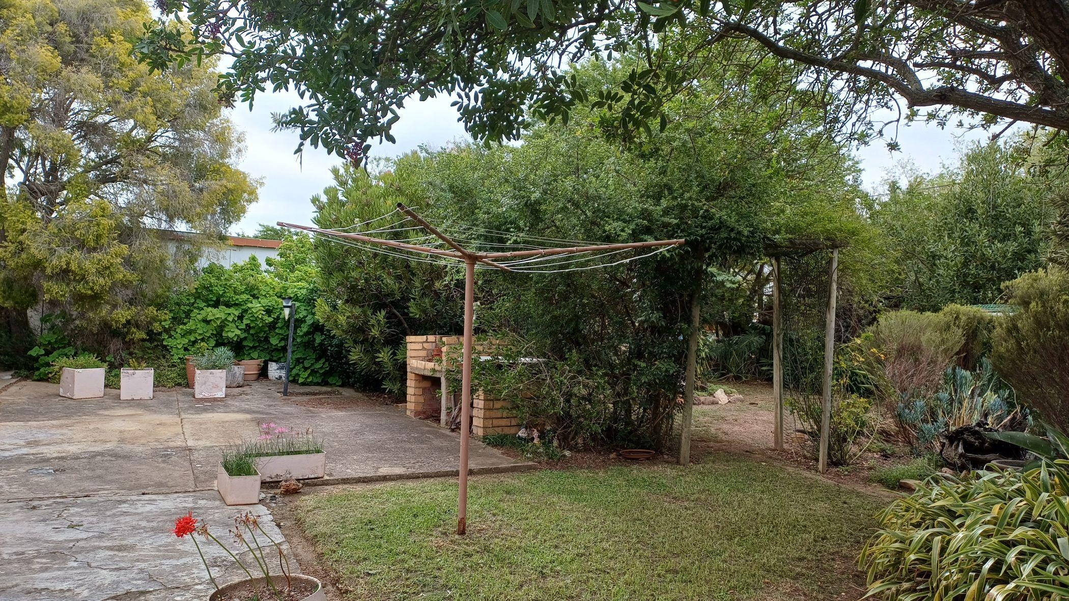 Image 28