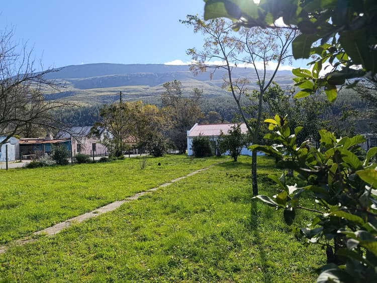 Main property image