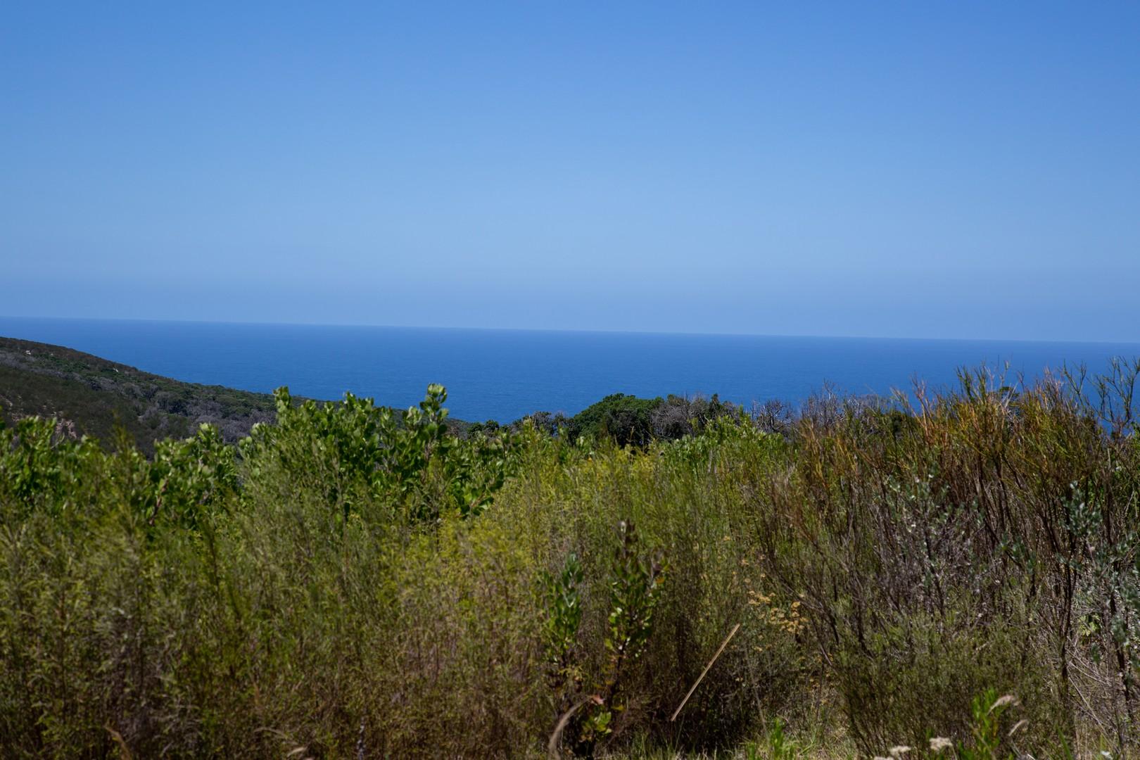 Image 22