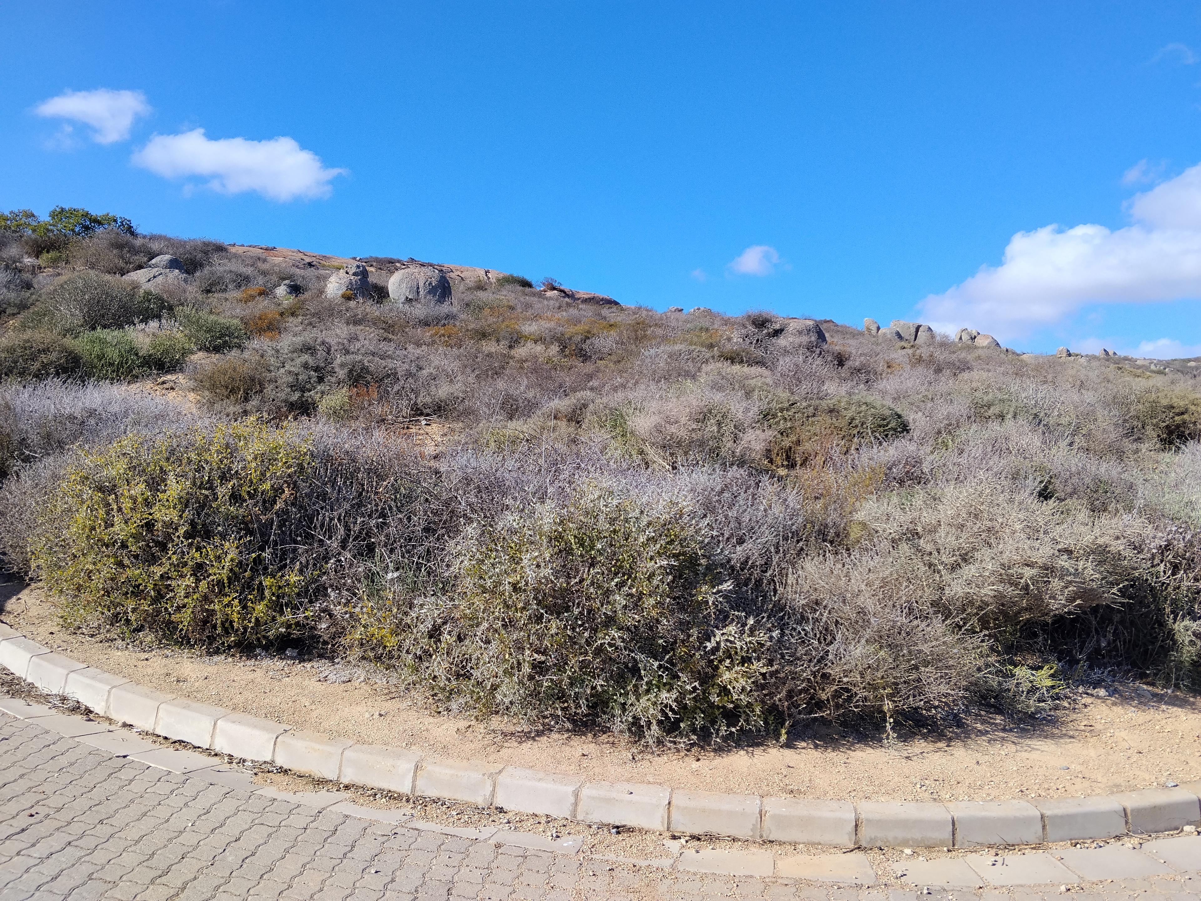Image 2 of 6