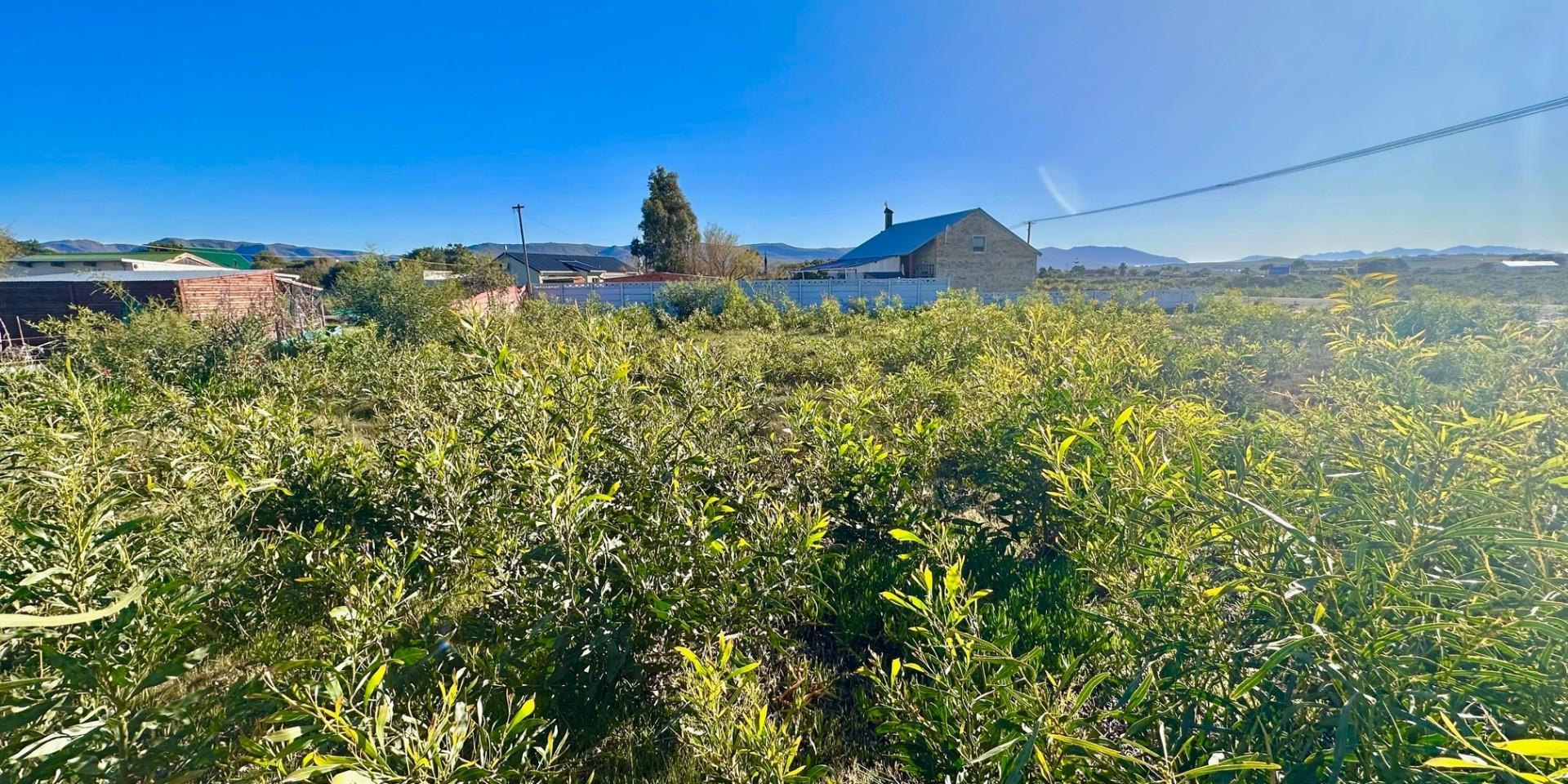Image 4 of 6