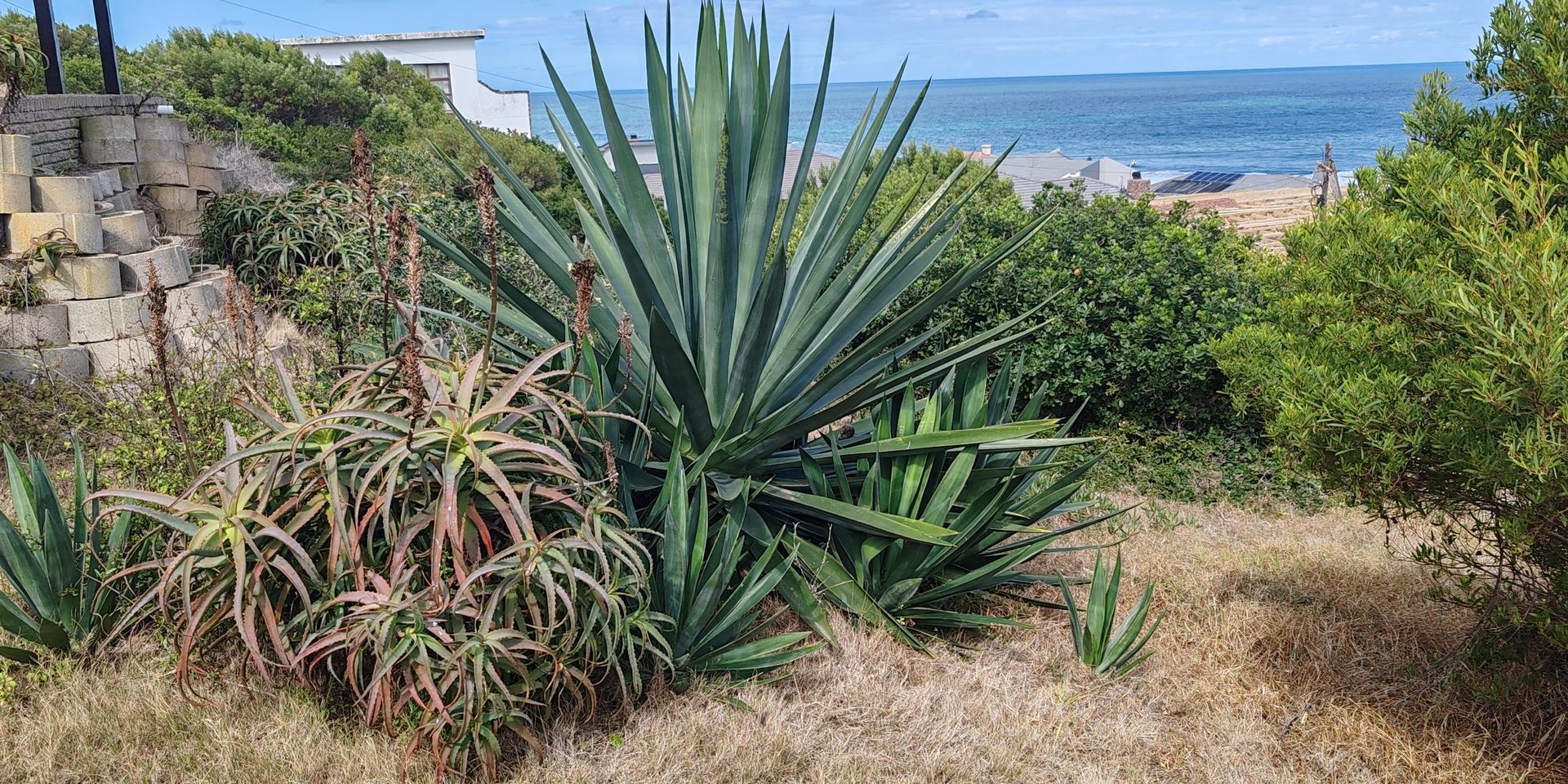 Image 4 of 6