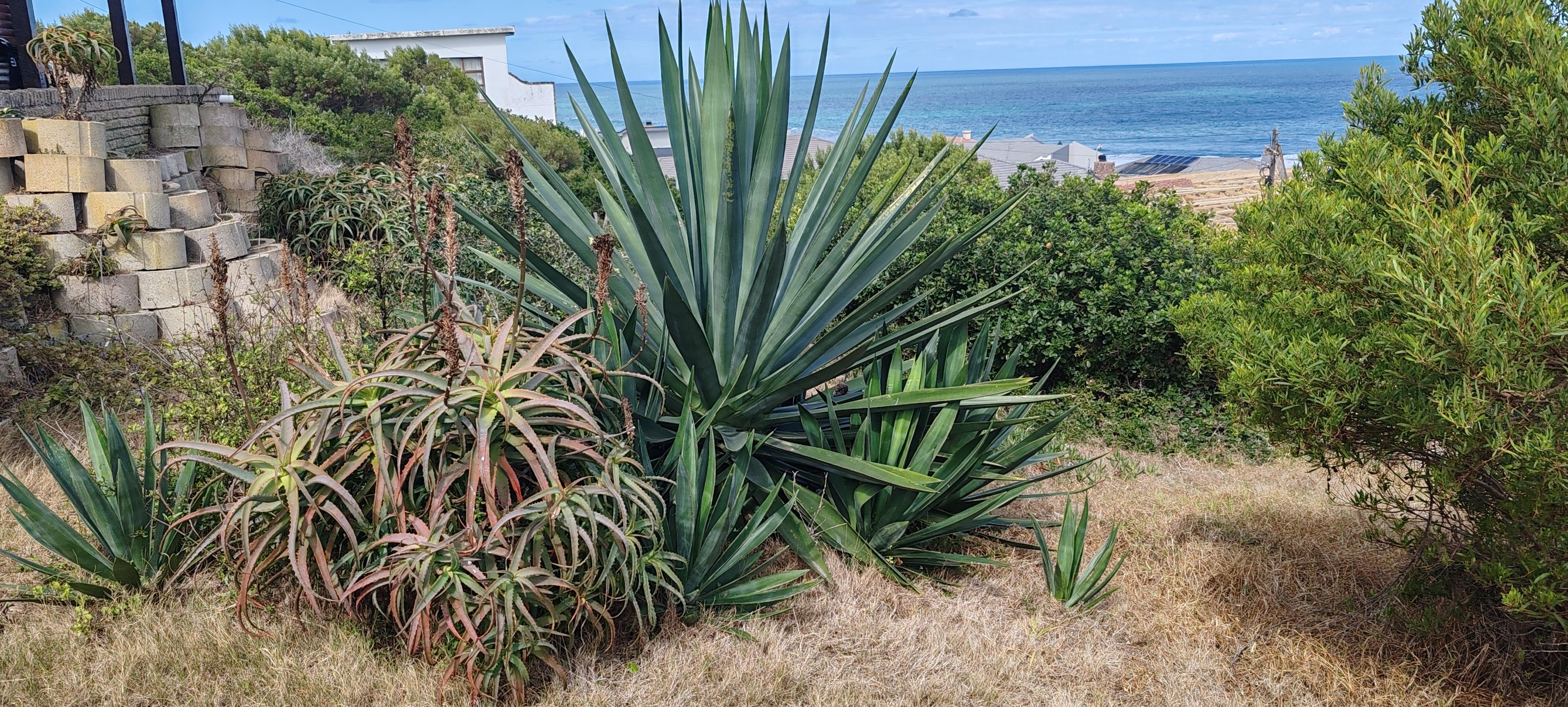 Image 4 of 6