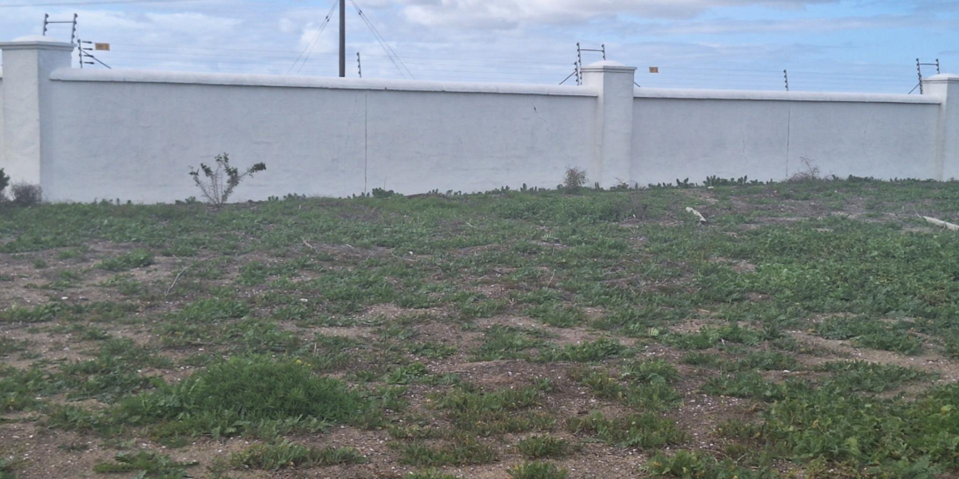 Image 3 of 6