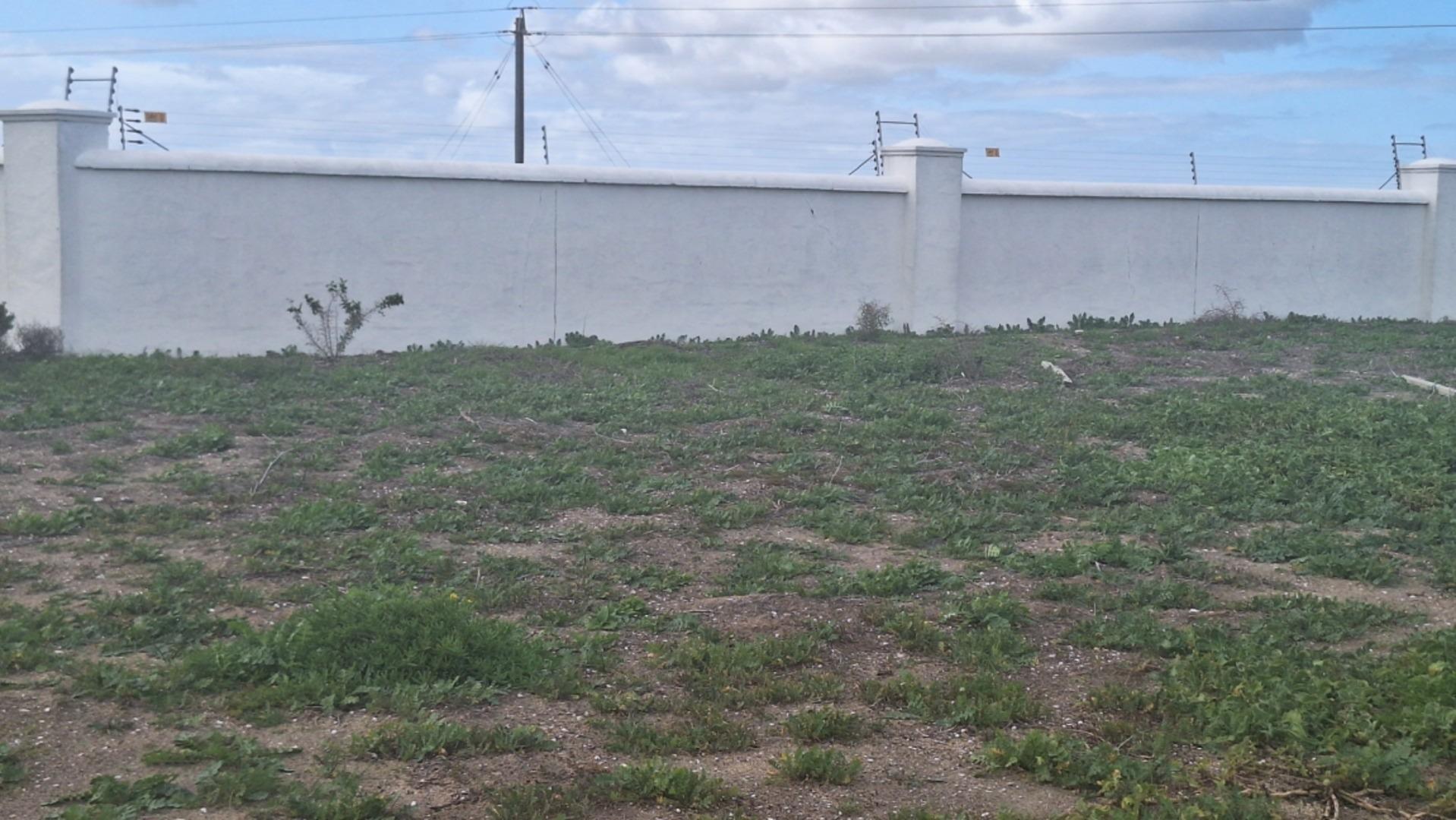 Image 3 of 6