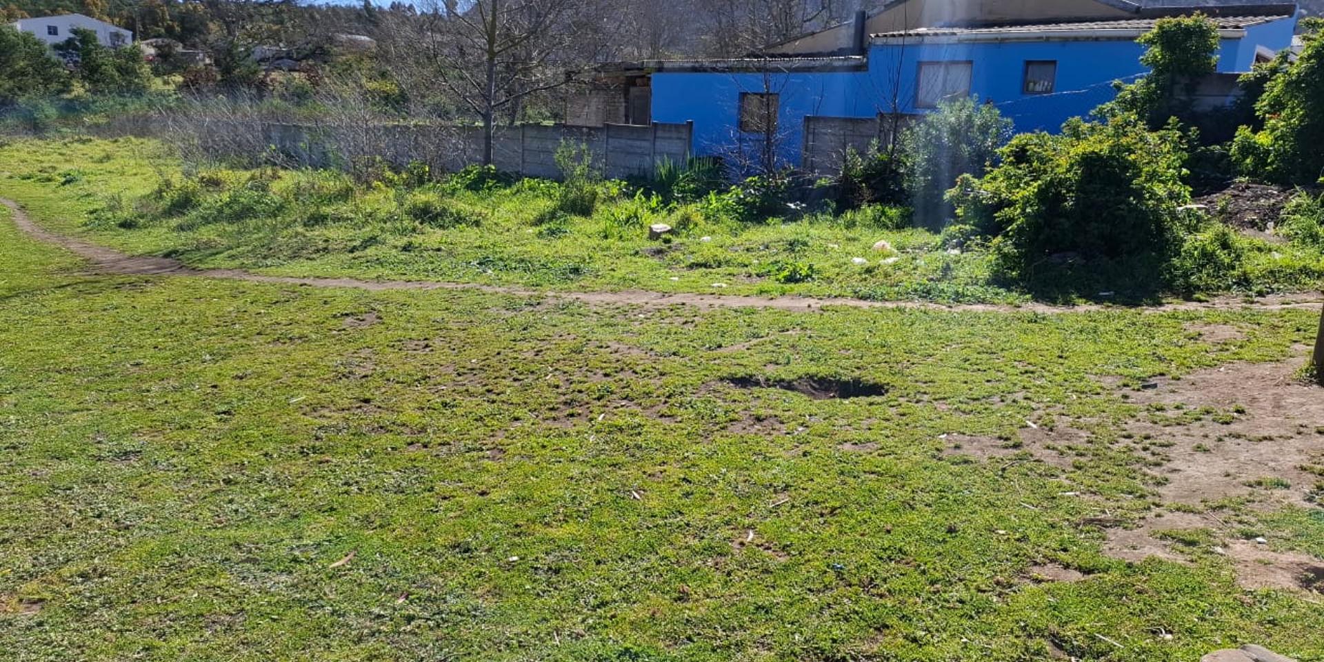 Image 3 of 6