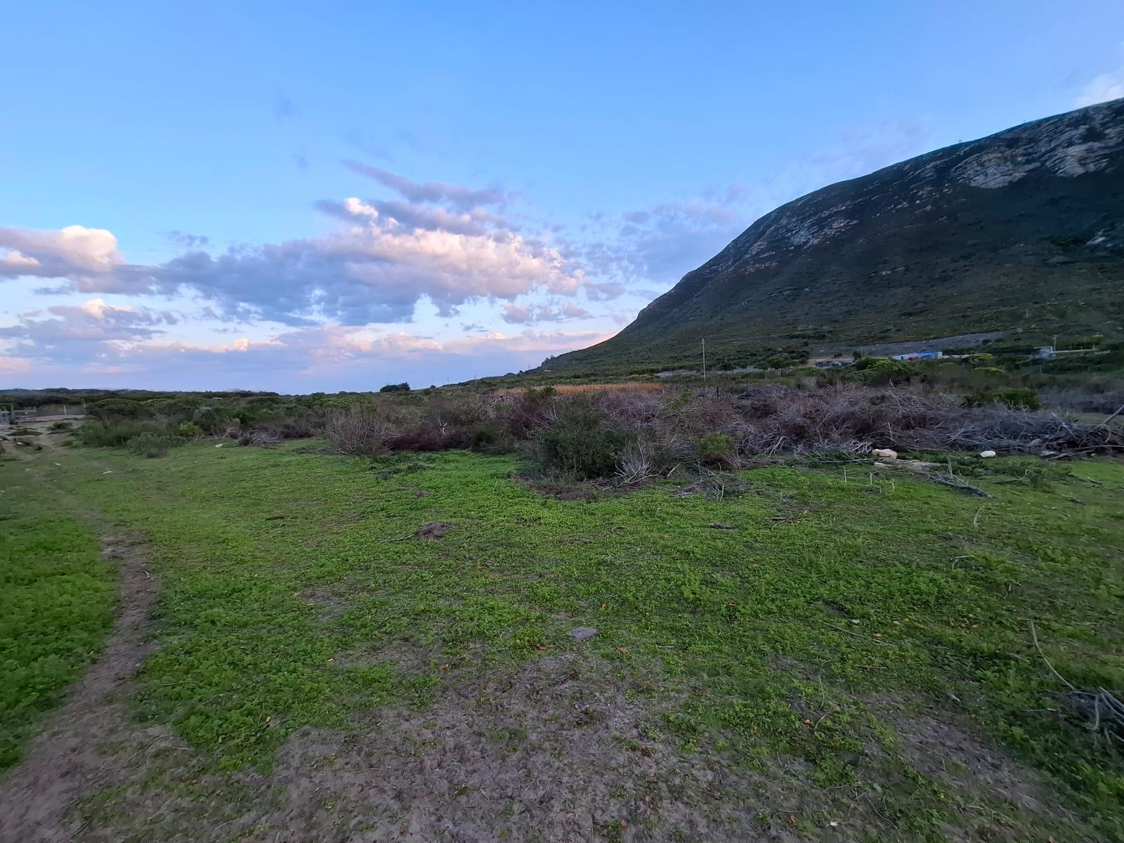 Image 53