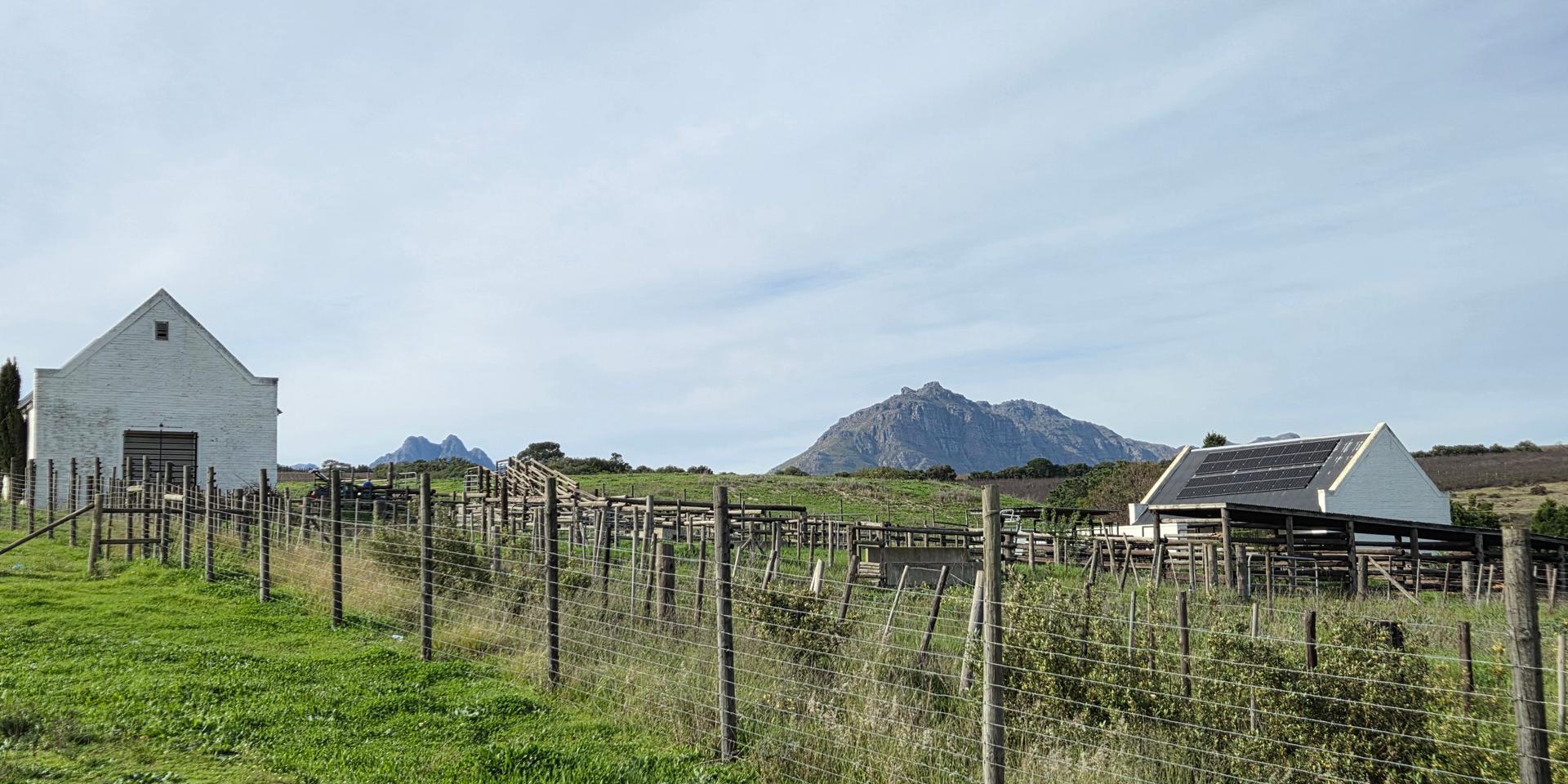 Image 4 of 6