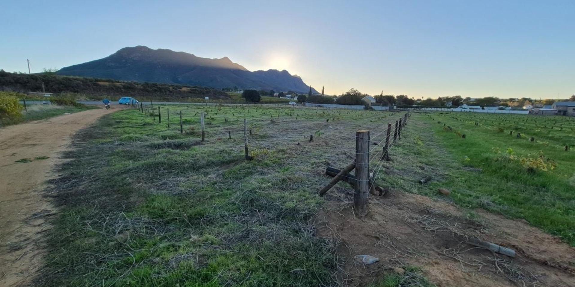 Image 4 of 6