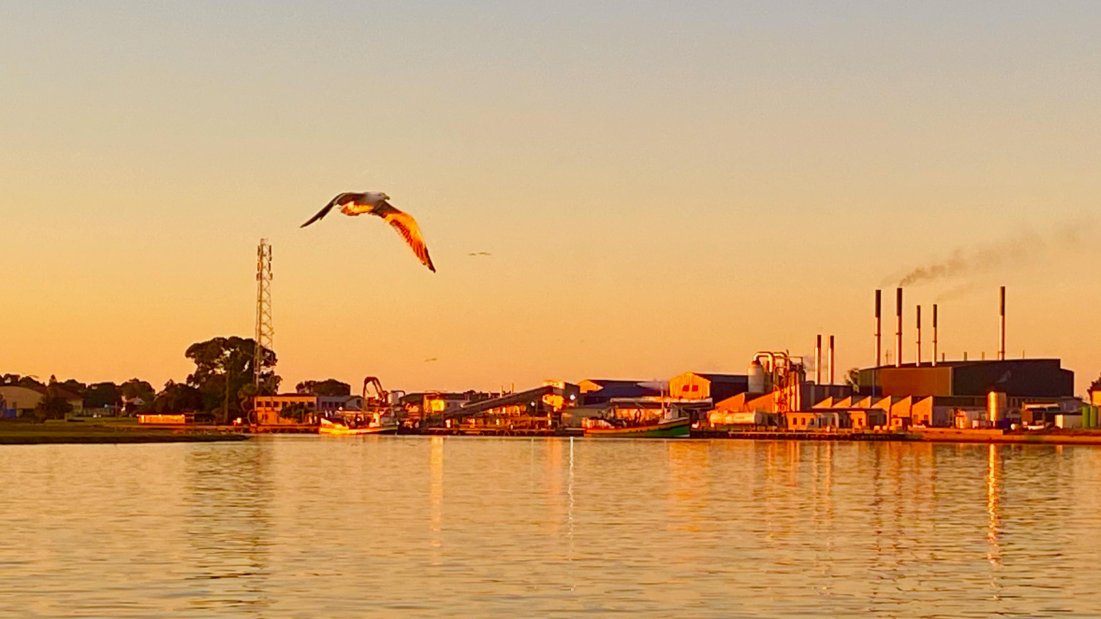 Image 17