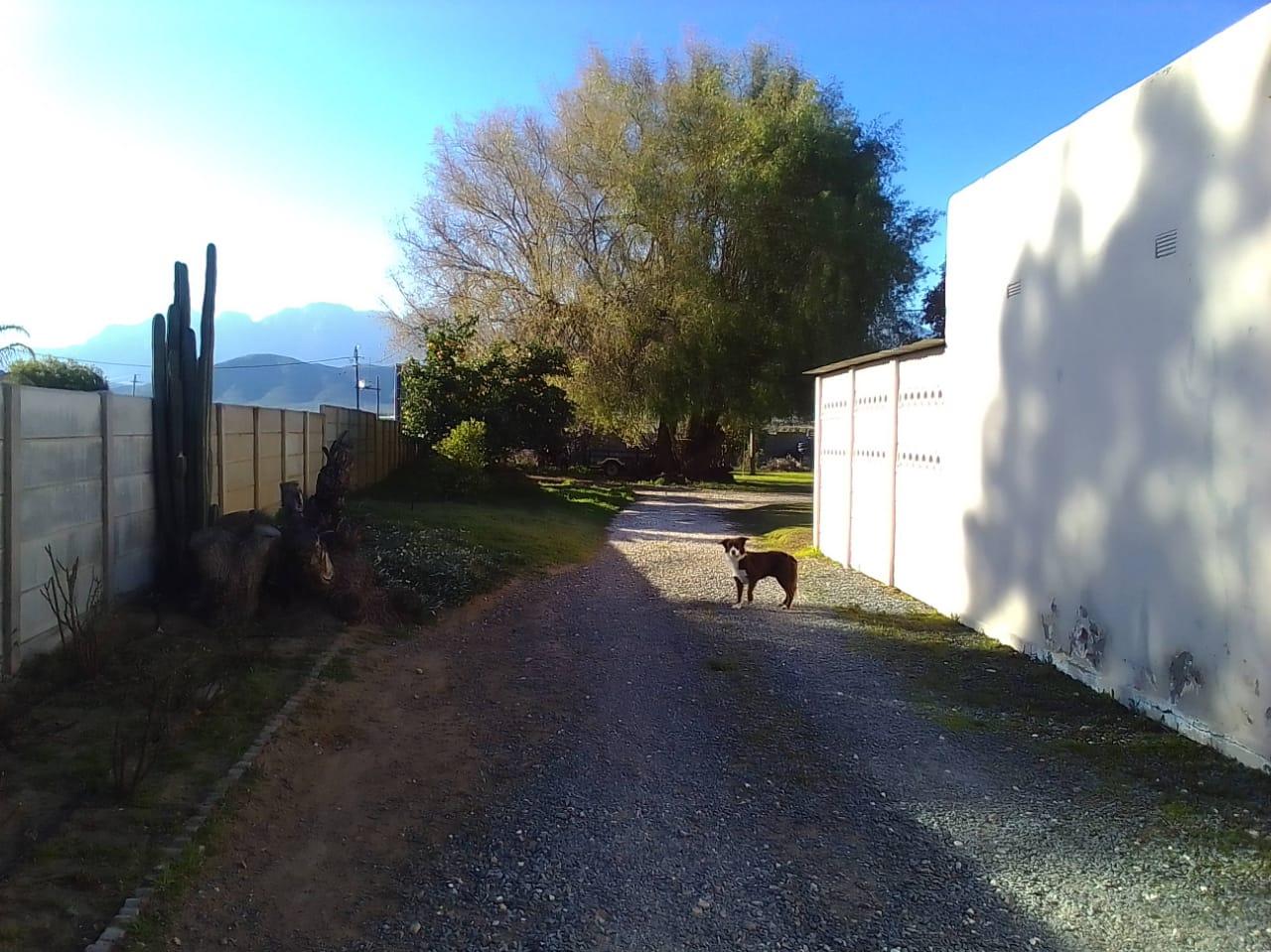 Image 4 of 6