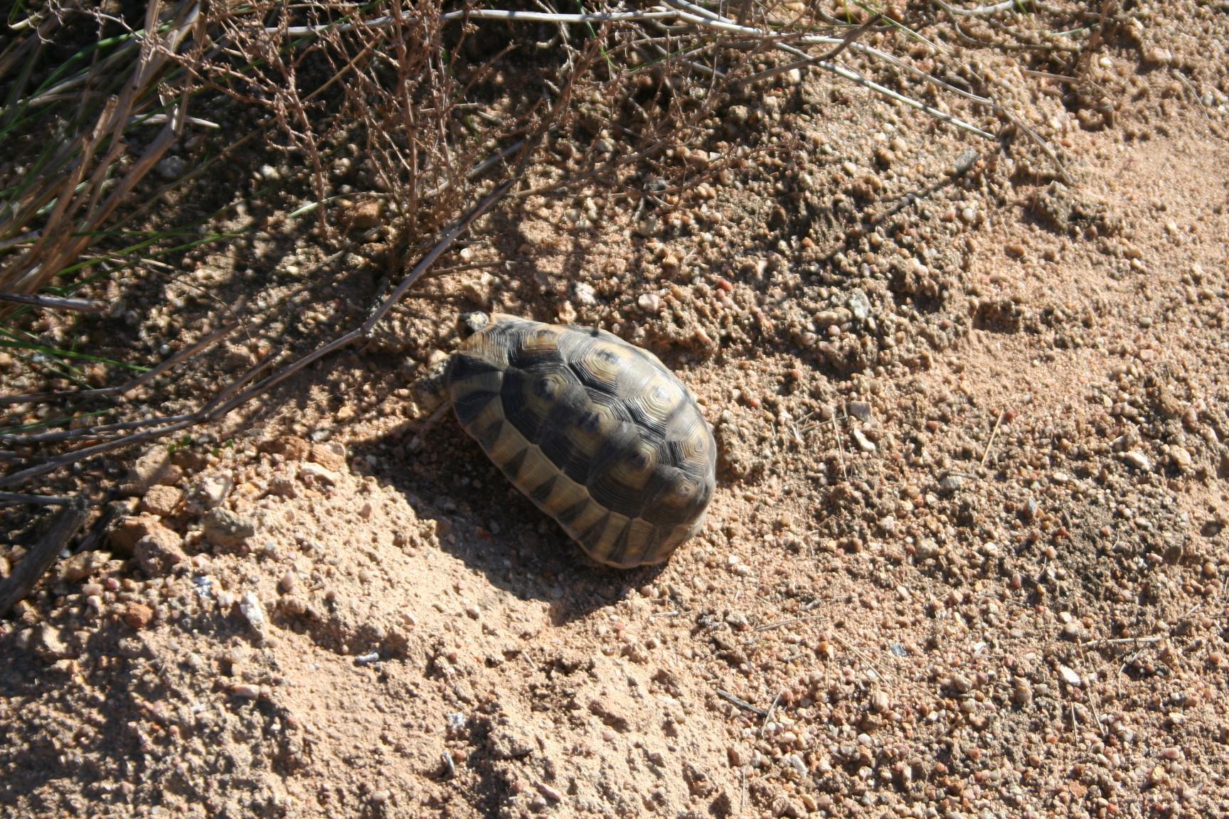Image 14