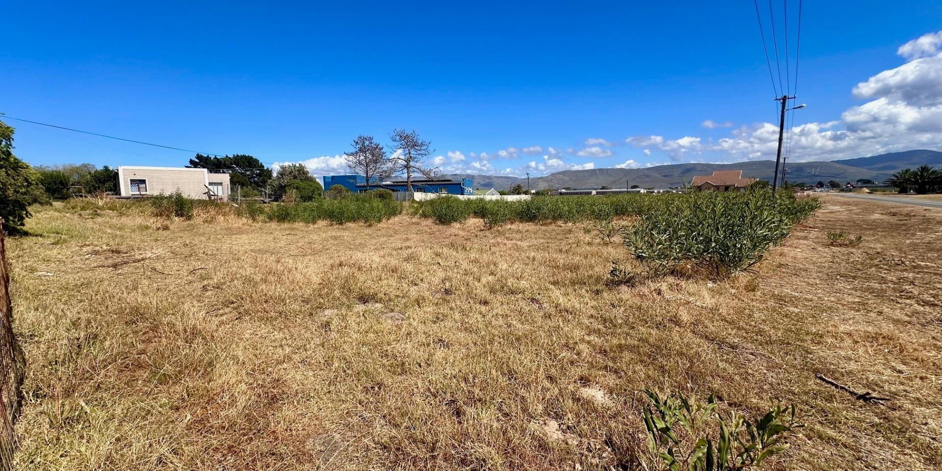 Image 4 of 6