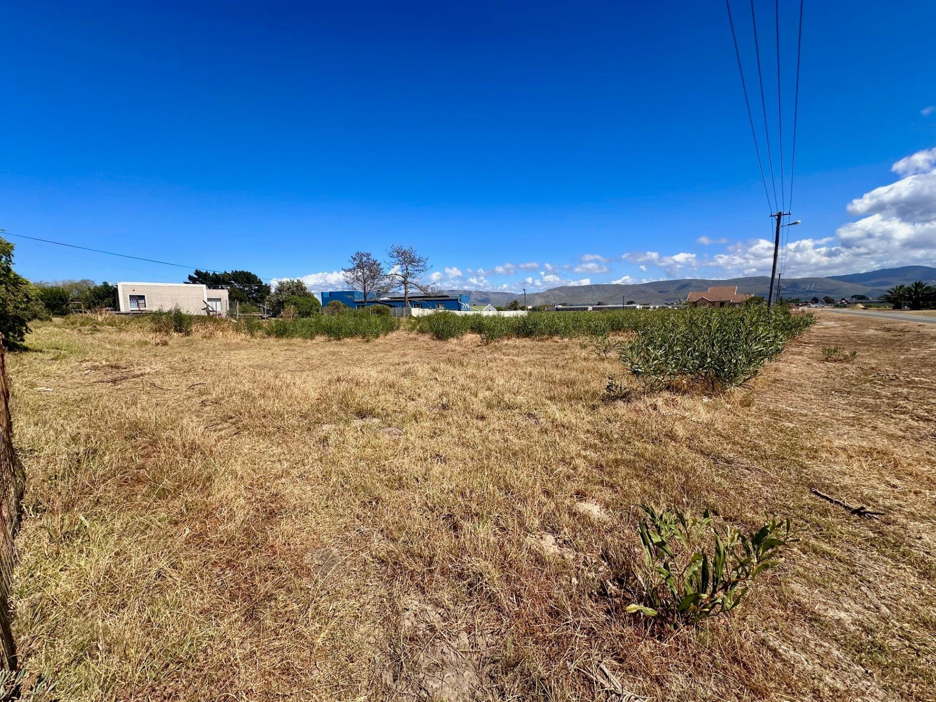 Image 4 of 6