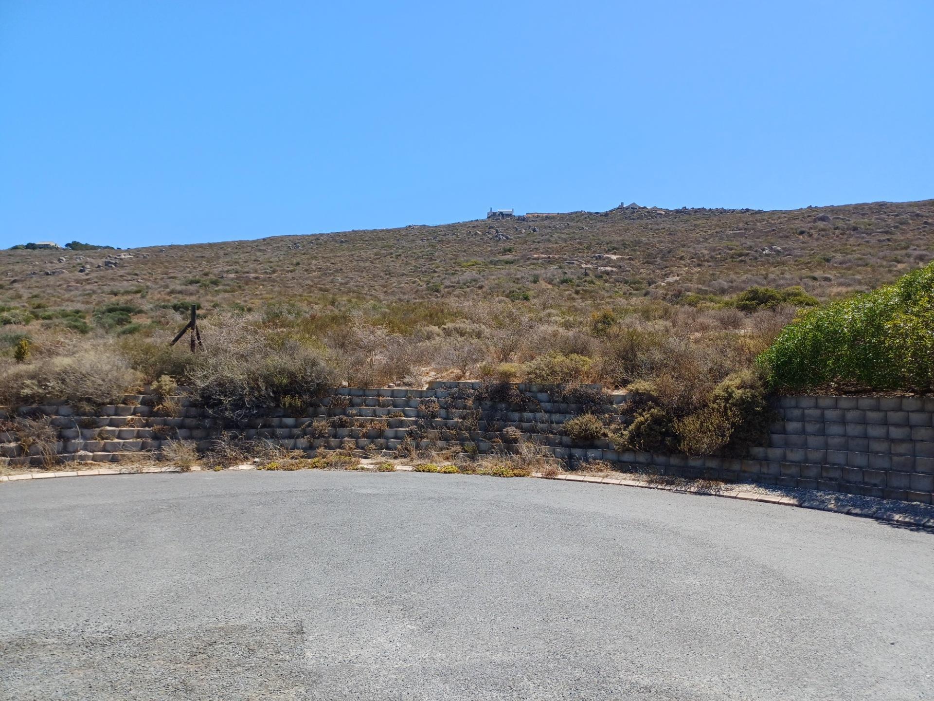 Image 15