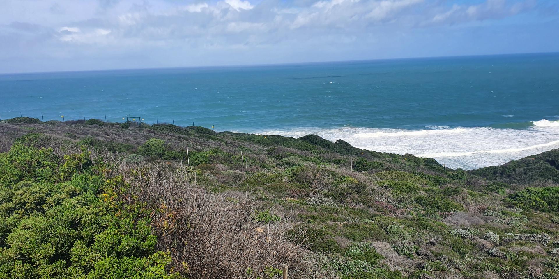 Image 3 of 6
